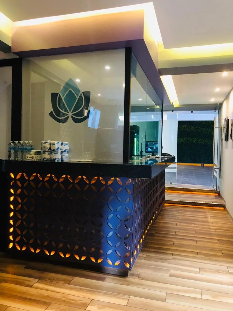 Lobby or reception in Hotel Lirio - Adult Only