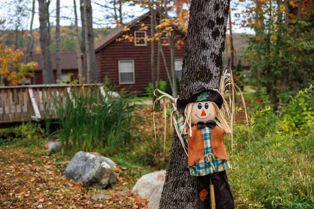 View (from property/room) in Presidential Mountain Resort