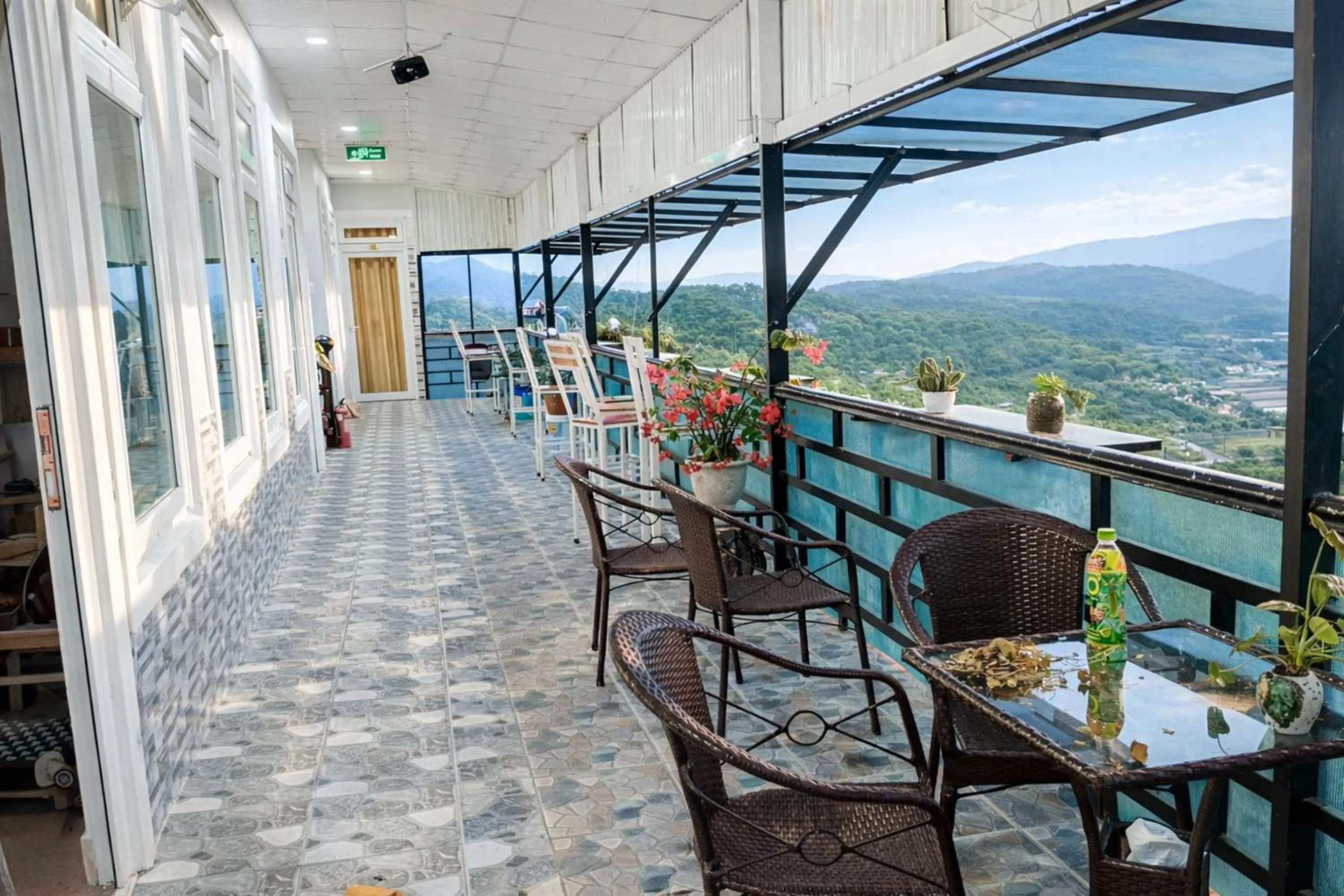 Day in Da Lat Ngoi Sao Viet