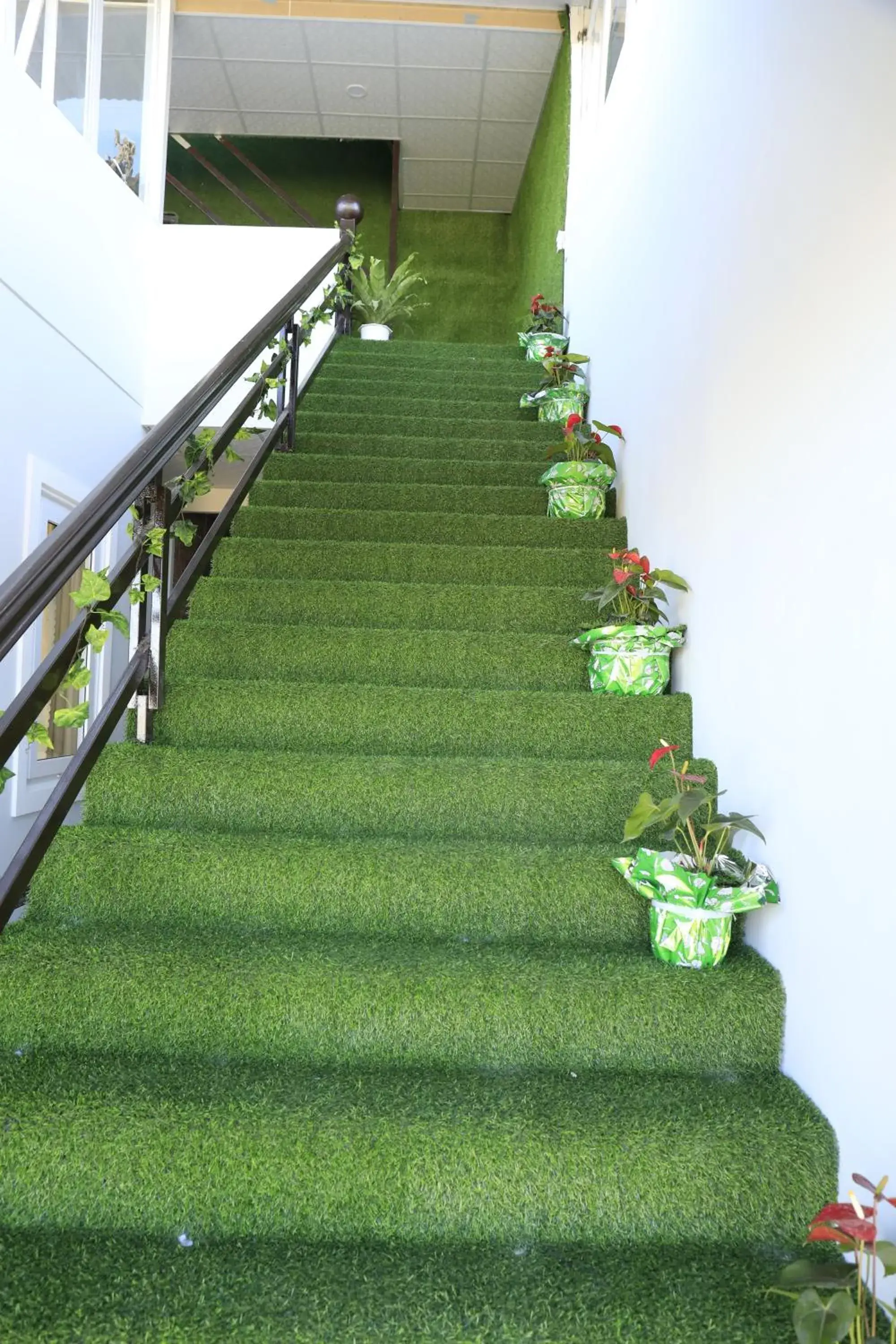 Lobby or reception in Da Lat Ngoi Sao Viet Lobby or reception in Da Lat Ngoi Sao Viet