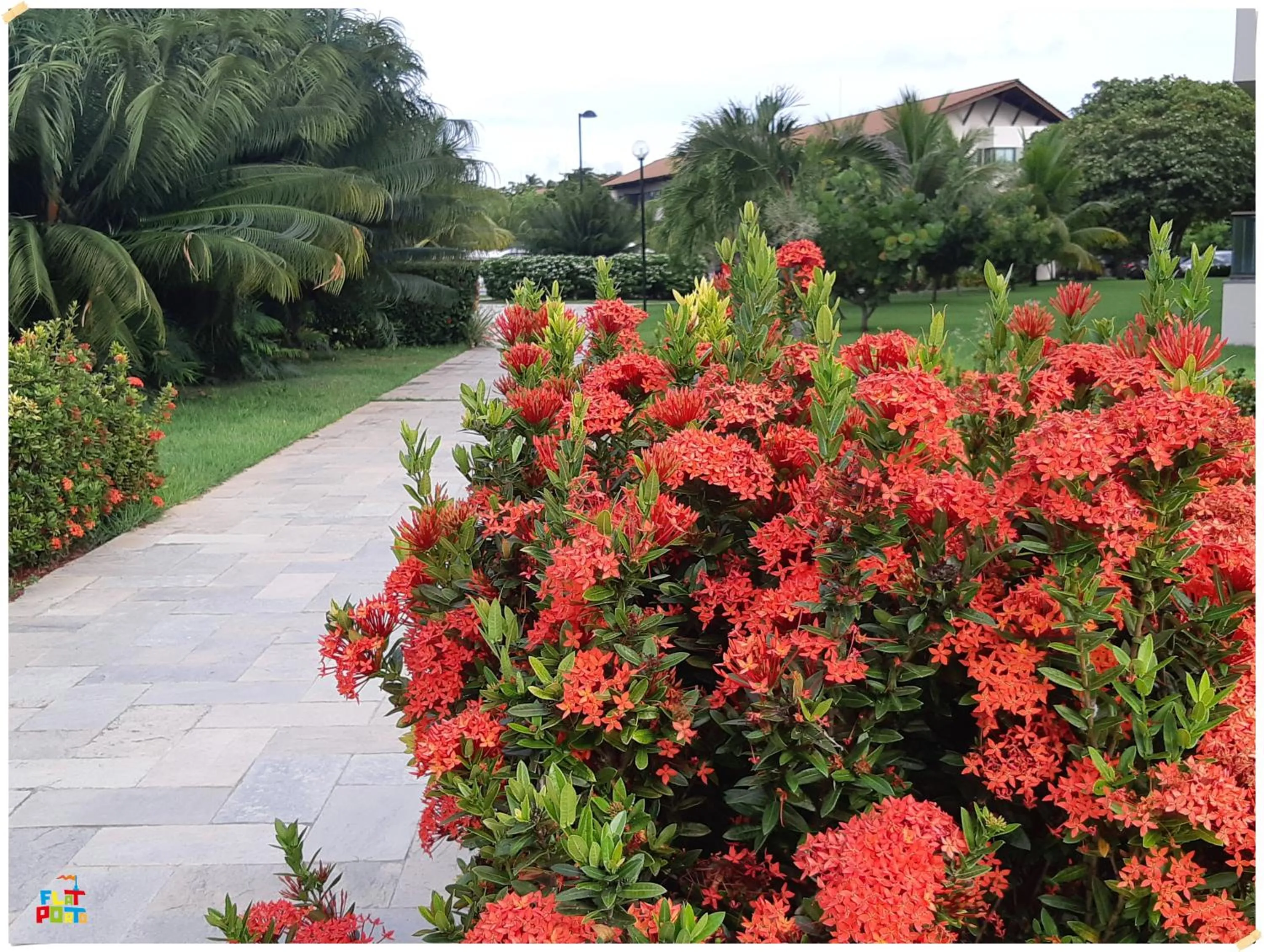Garden in Apartamento Beira mar Praia dos Caneiros