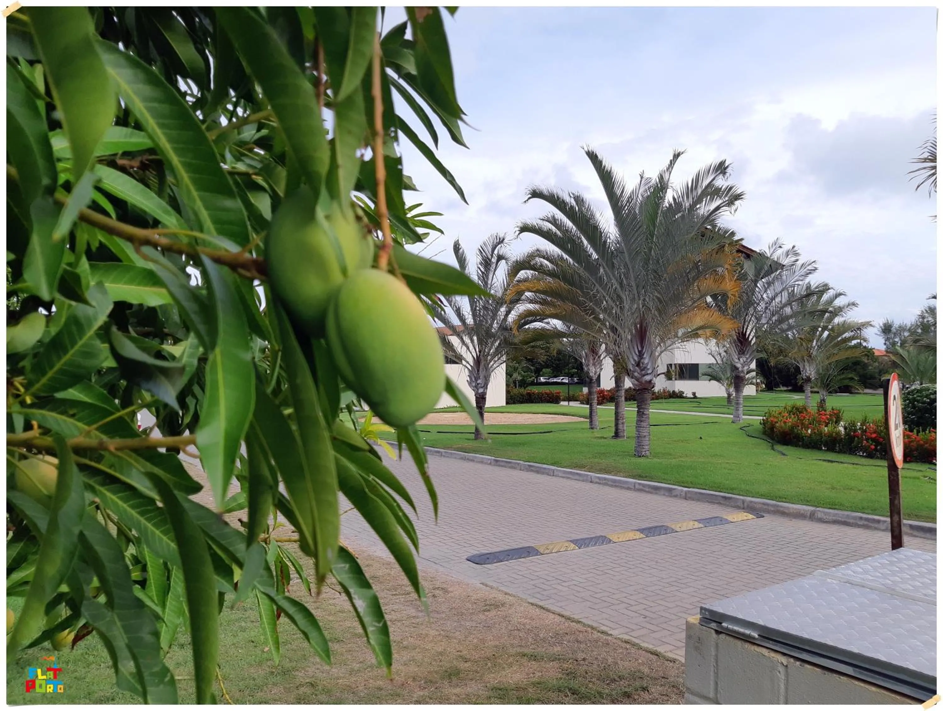 Garden in Apartamento Beira mar Praia dos Caneiros