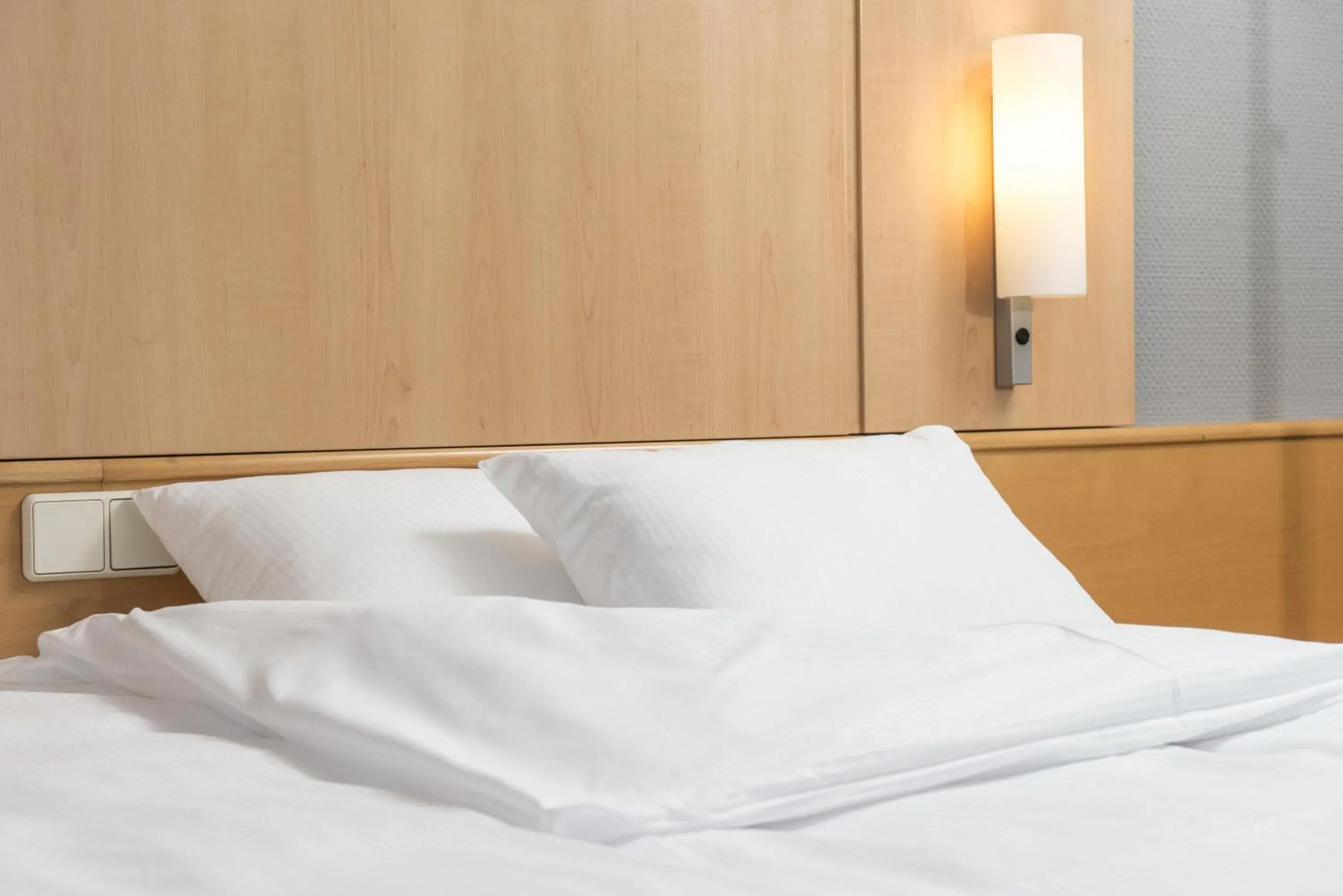 Single Room in ibis Hotel Eisenach Single Room in ibis Hotel Eisenach