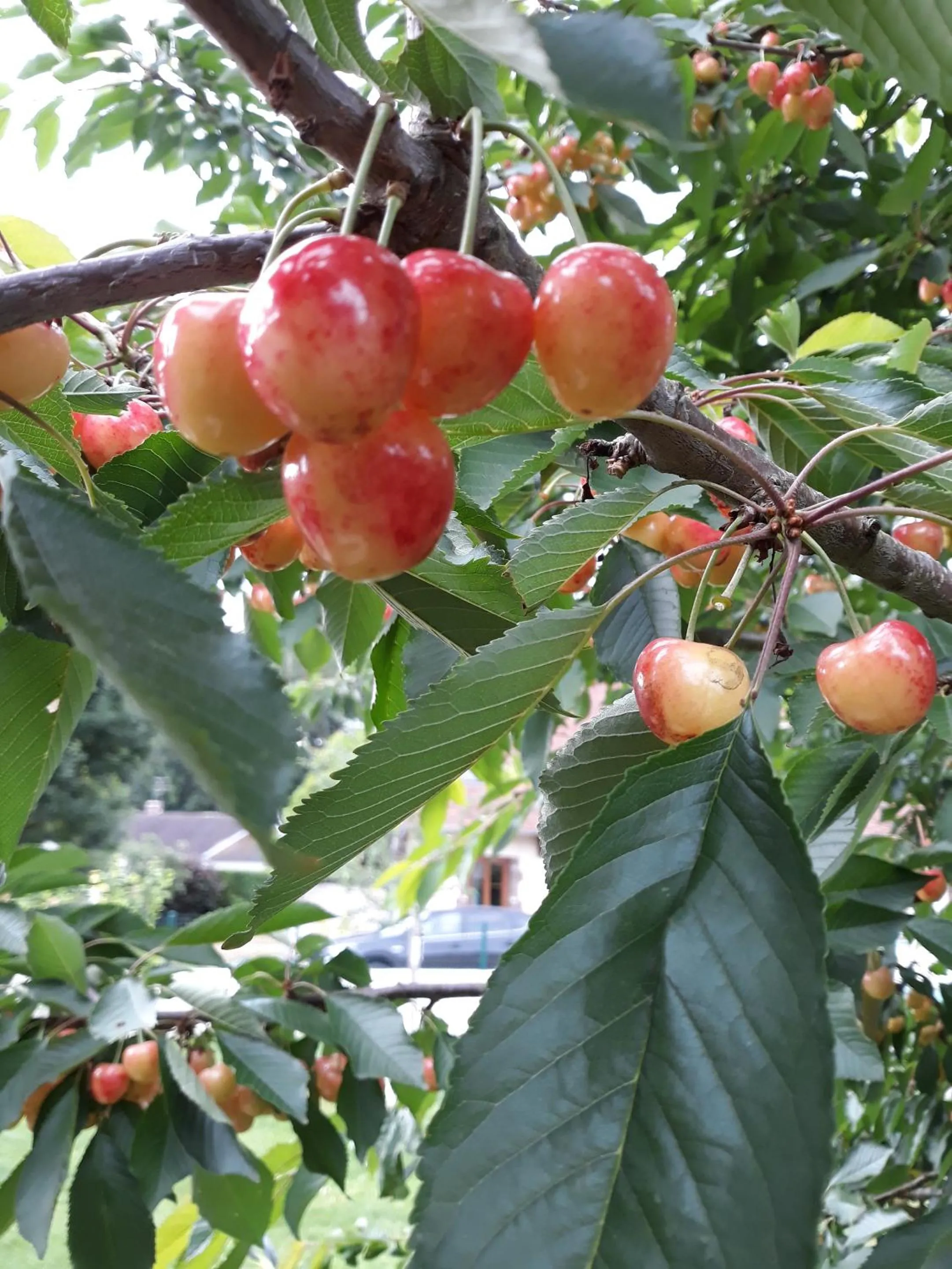 Natural landscape in Chambres d'hôtes Le Clos Poli