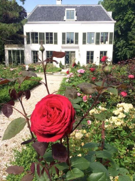 Property building in Elswoutshoek Suites