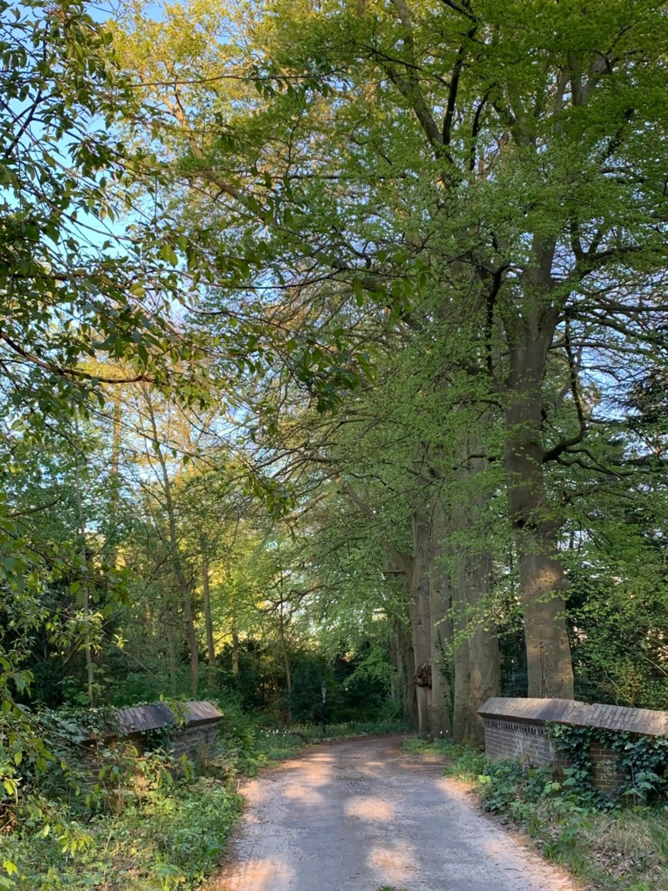 Natural landscape in Elswoutshoek Suites