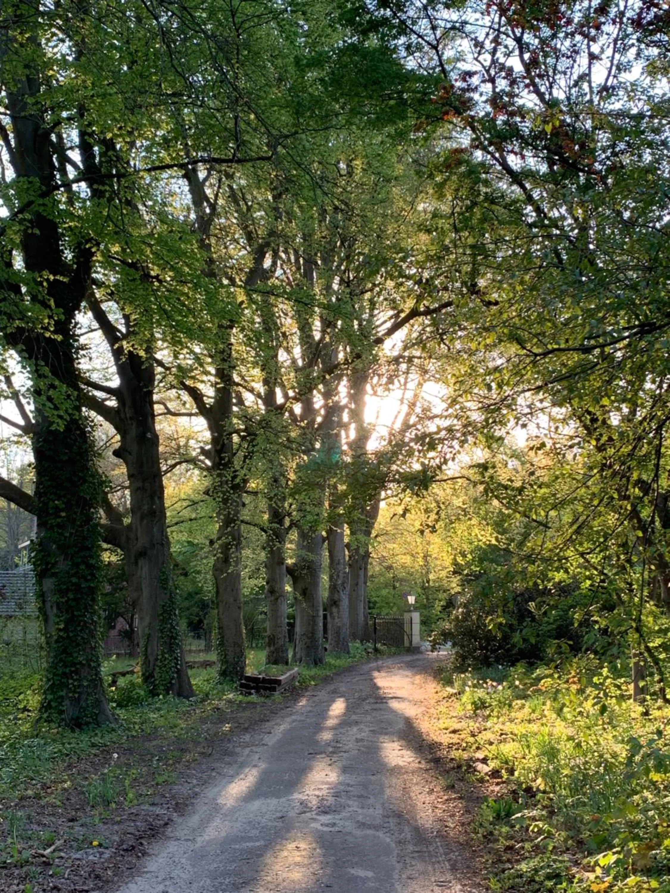 Natural landscape in Elswoutshoek Suites