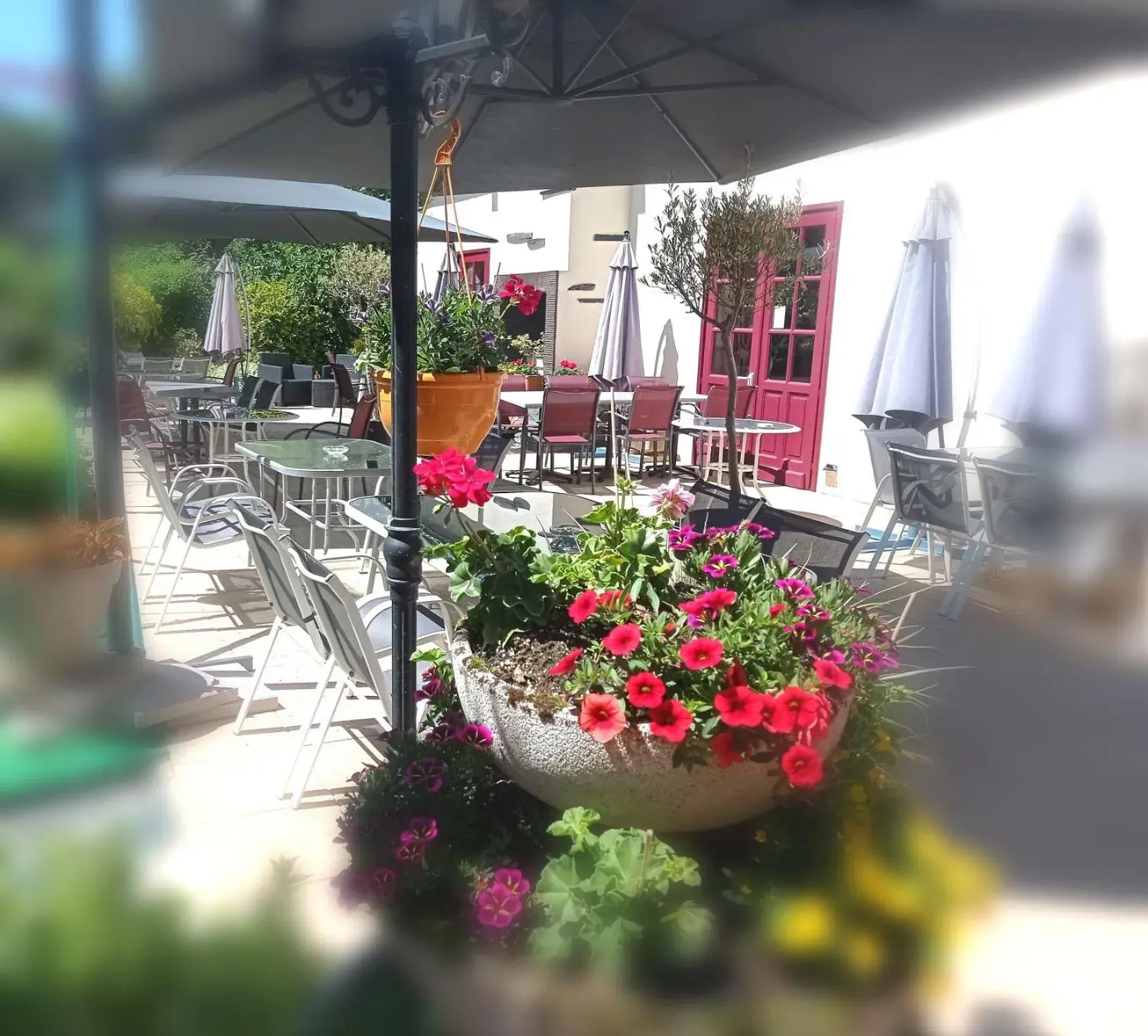 Property building in Logis La Sapinière Property building in Logis La Sapinière