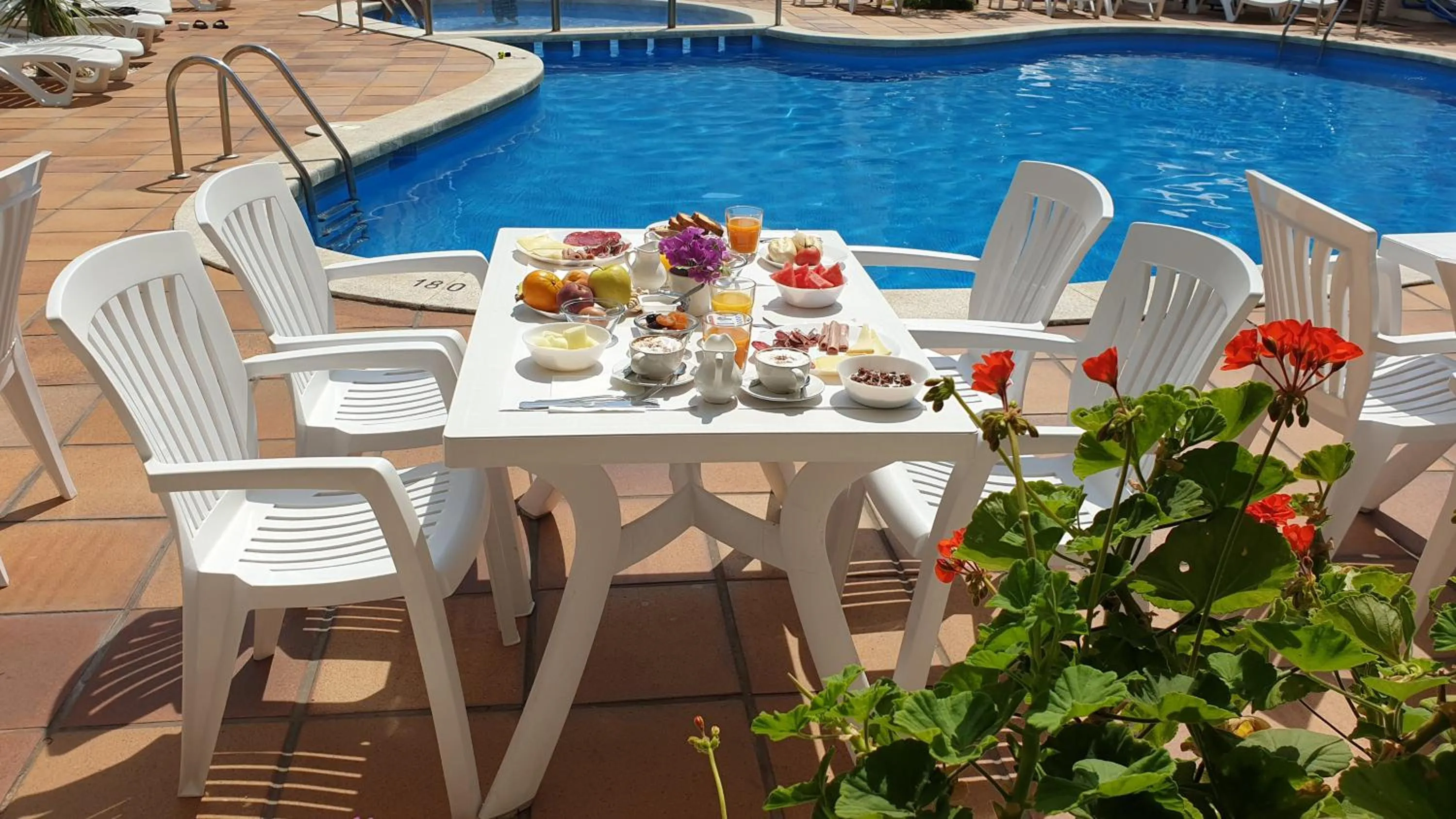 Swimming pool in Hotel Mireia