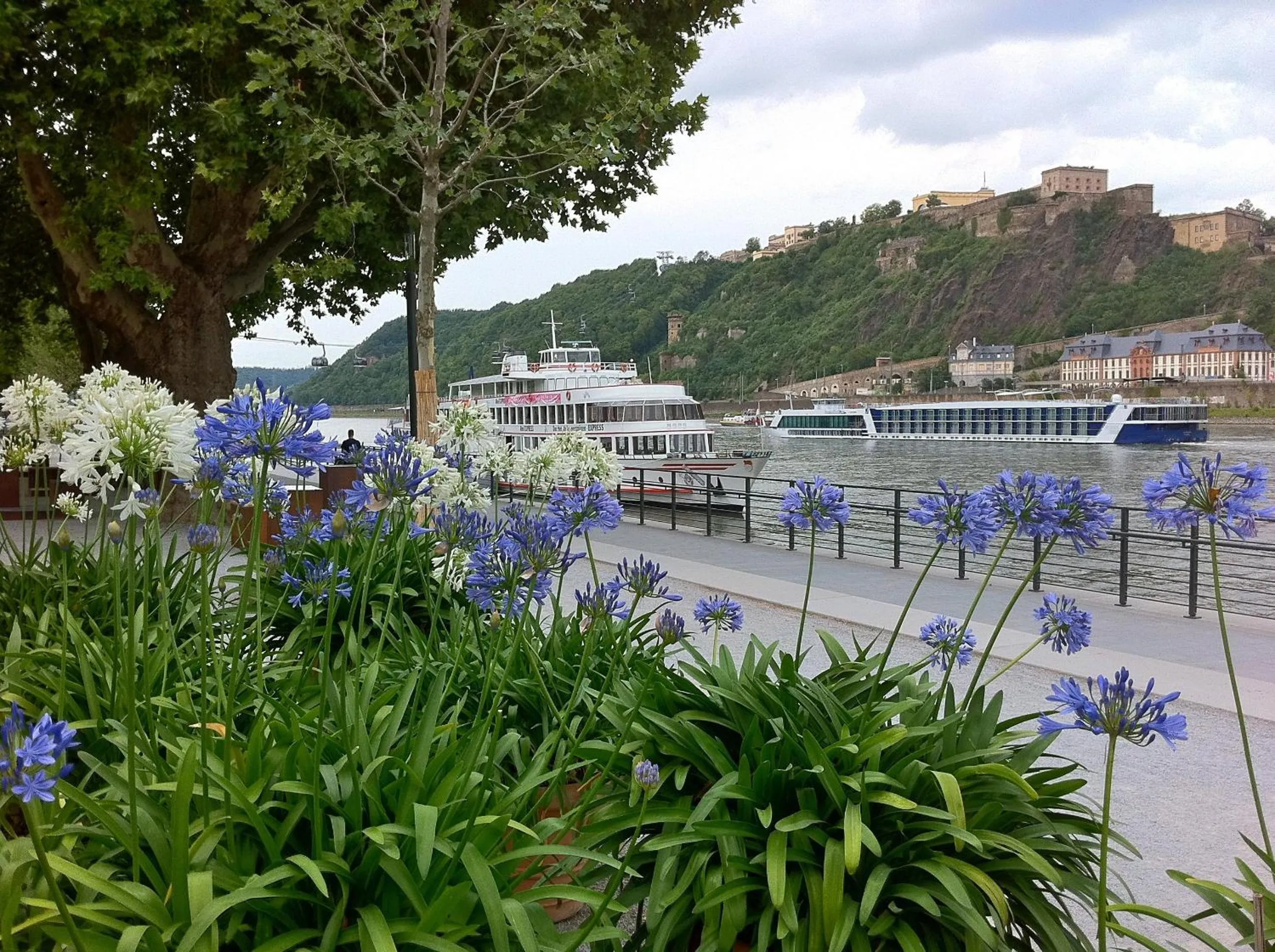 Area and facilities in Top Hotel Krämer