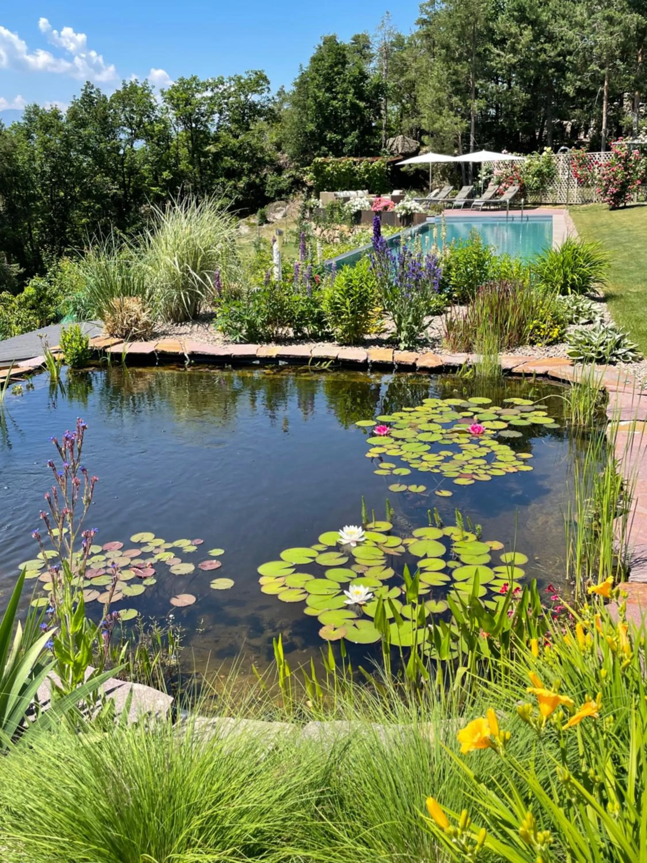 Natural landscape in VILLA COLLINA VERDE