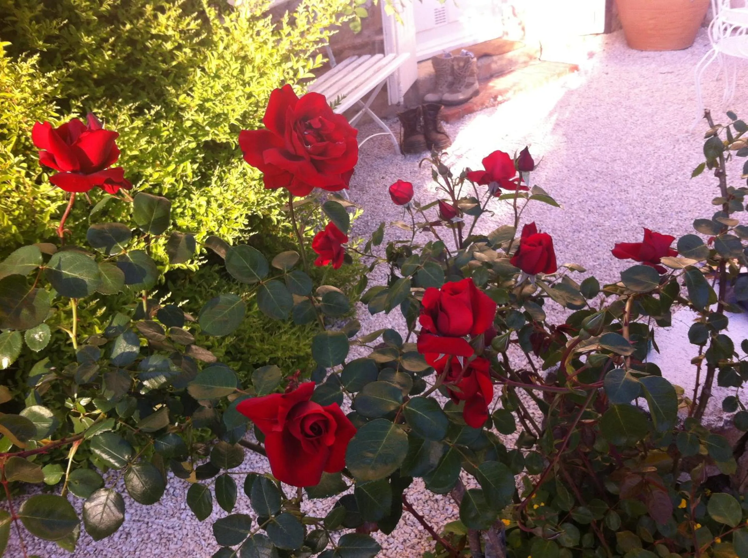 Property building in L'Ecrin