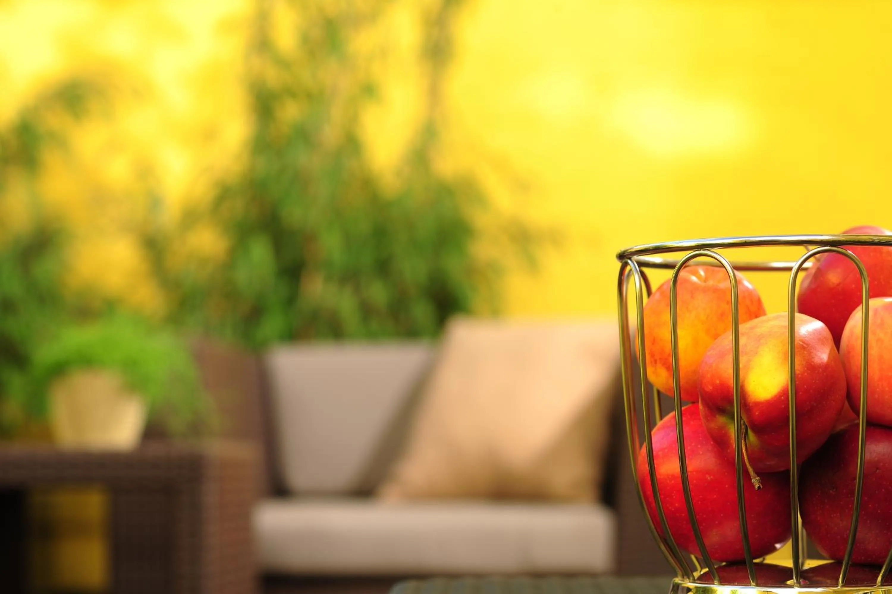 View (from property/room) in GuestHouse Mainz