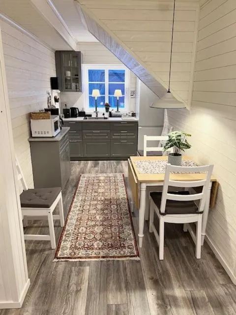 Kitchen or kitchenette in Vasacenter B&B