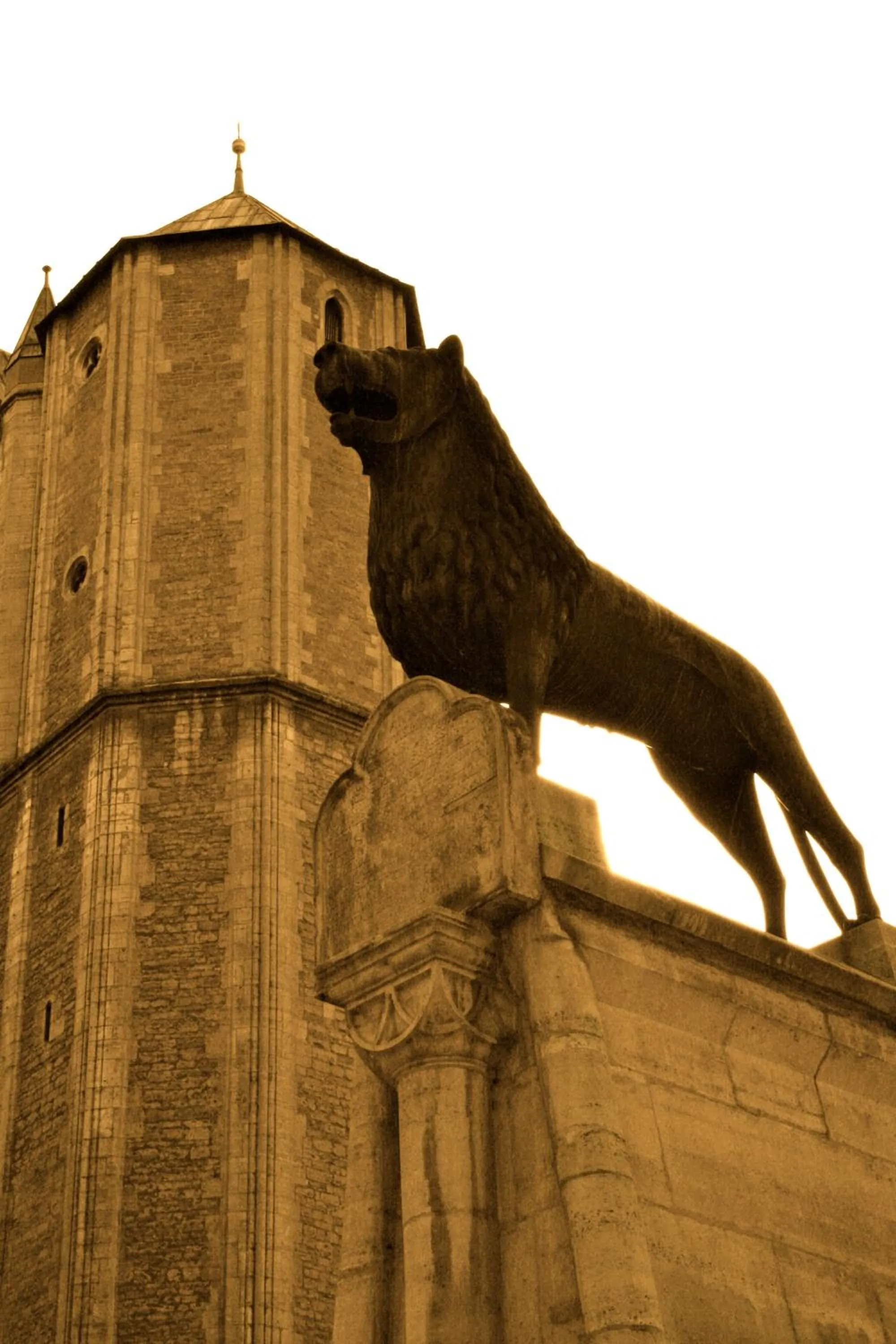 Area and facilities in Best Western City Hotel Braunschweig