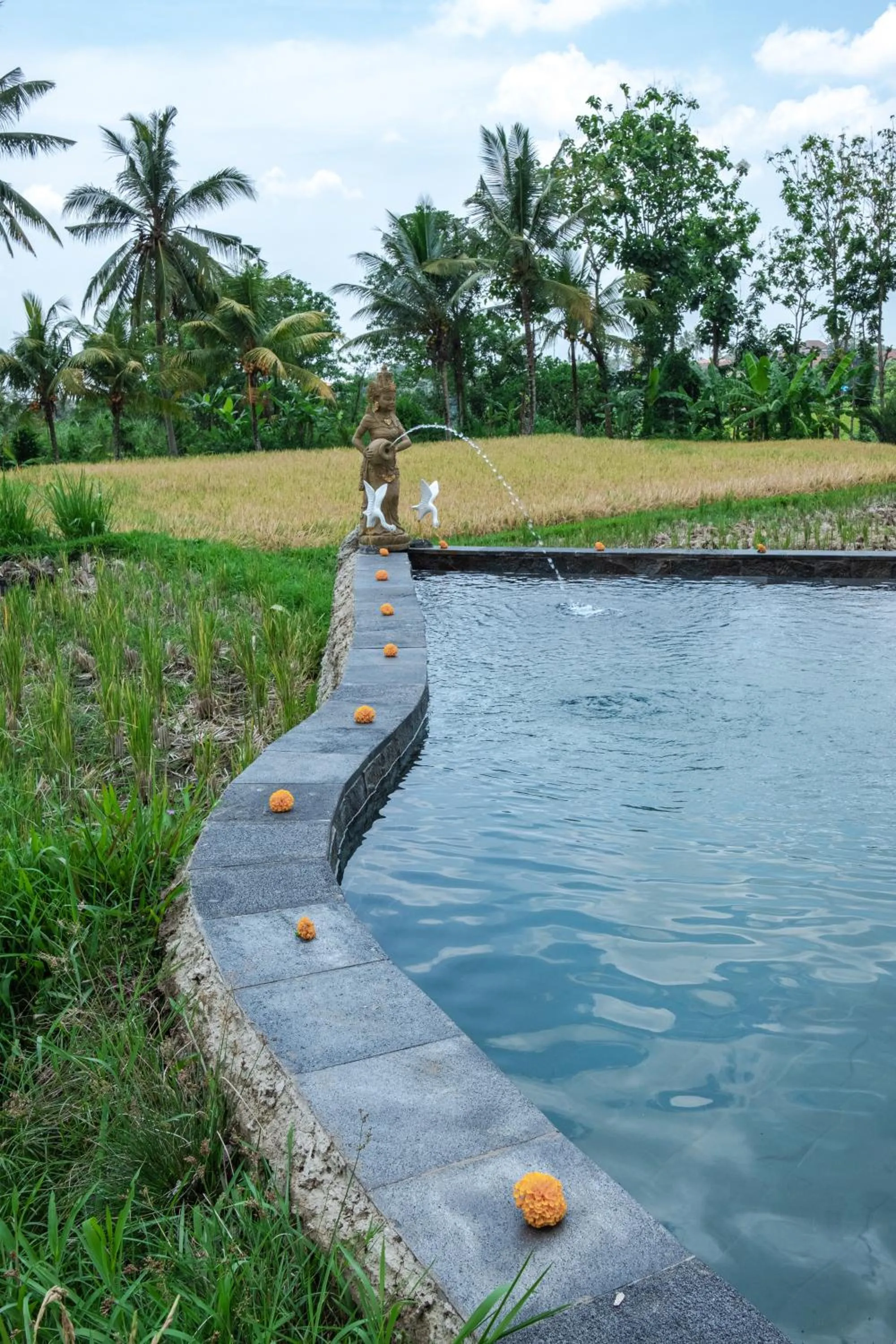 Swimming pool in Kidem Ubud Villas