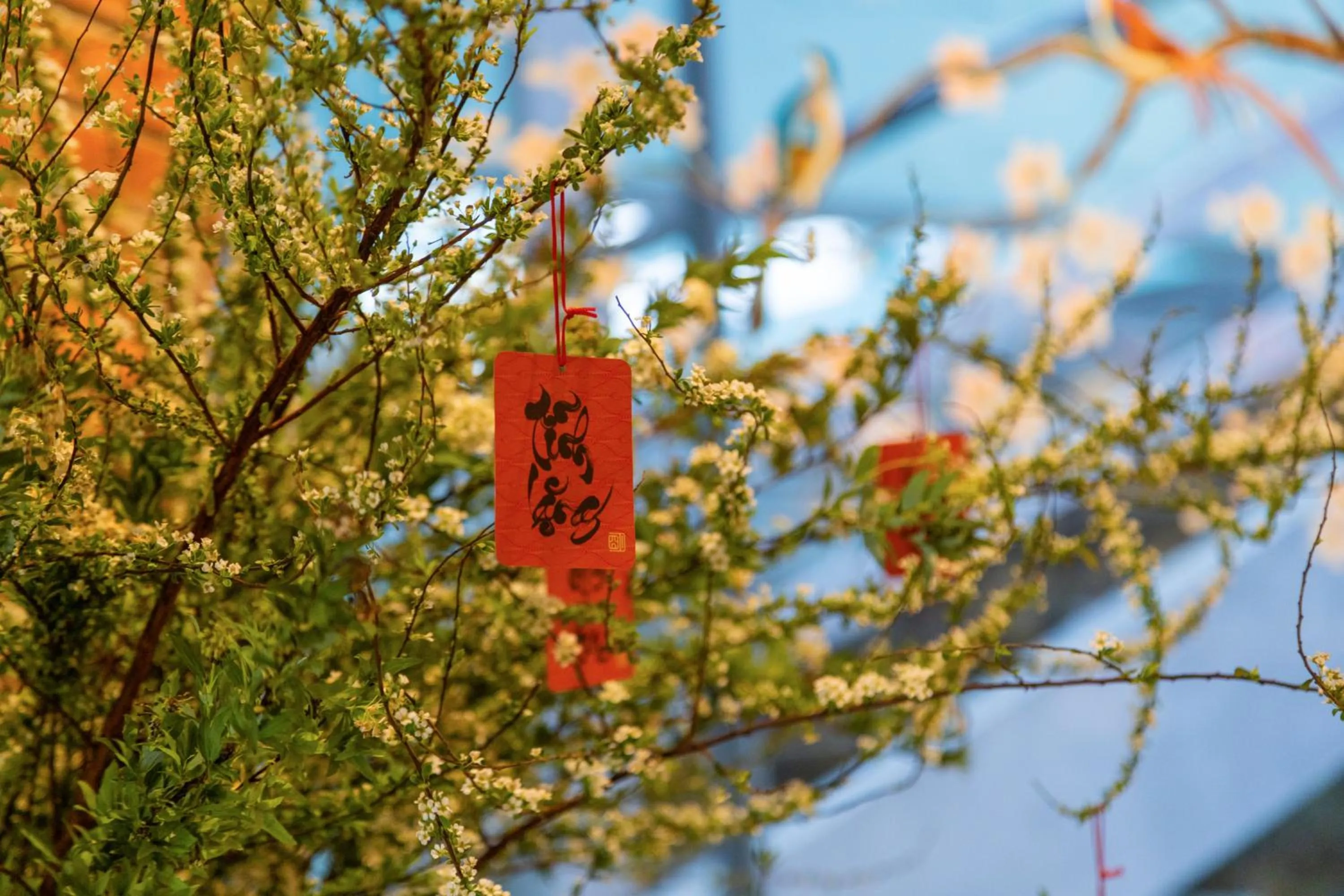 Natural landscape in Seahorse Tropical Da Nang Hotel by Haviland