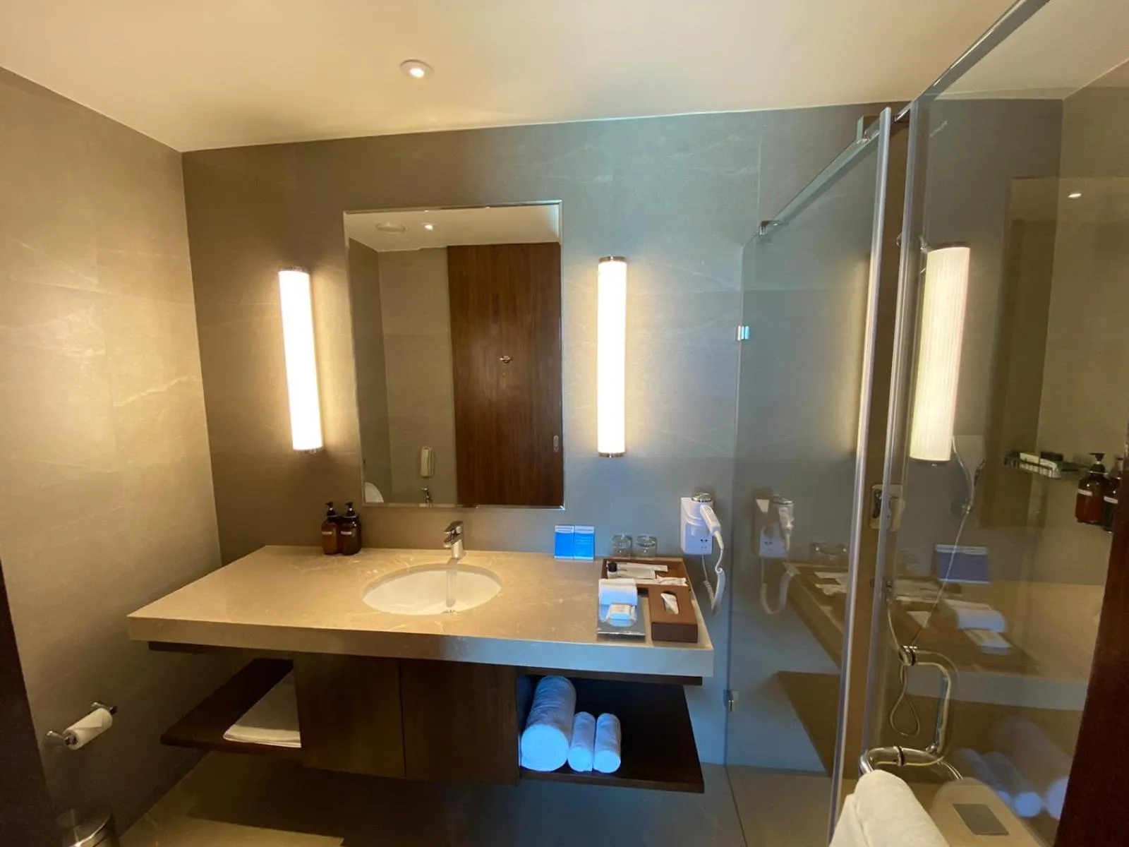 Bathroom in Marasa Sarovar Premiere, Bodhgaya