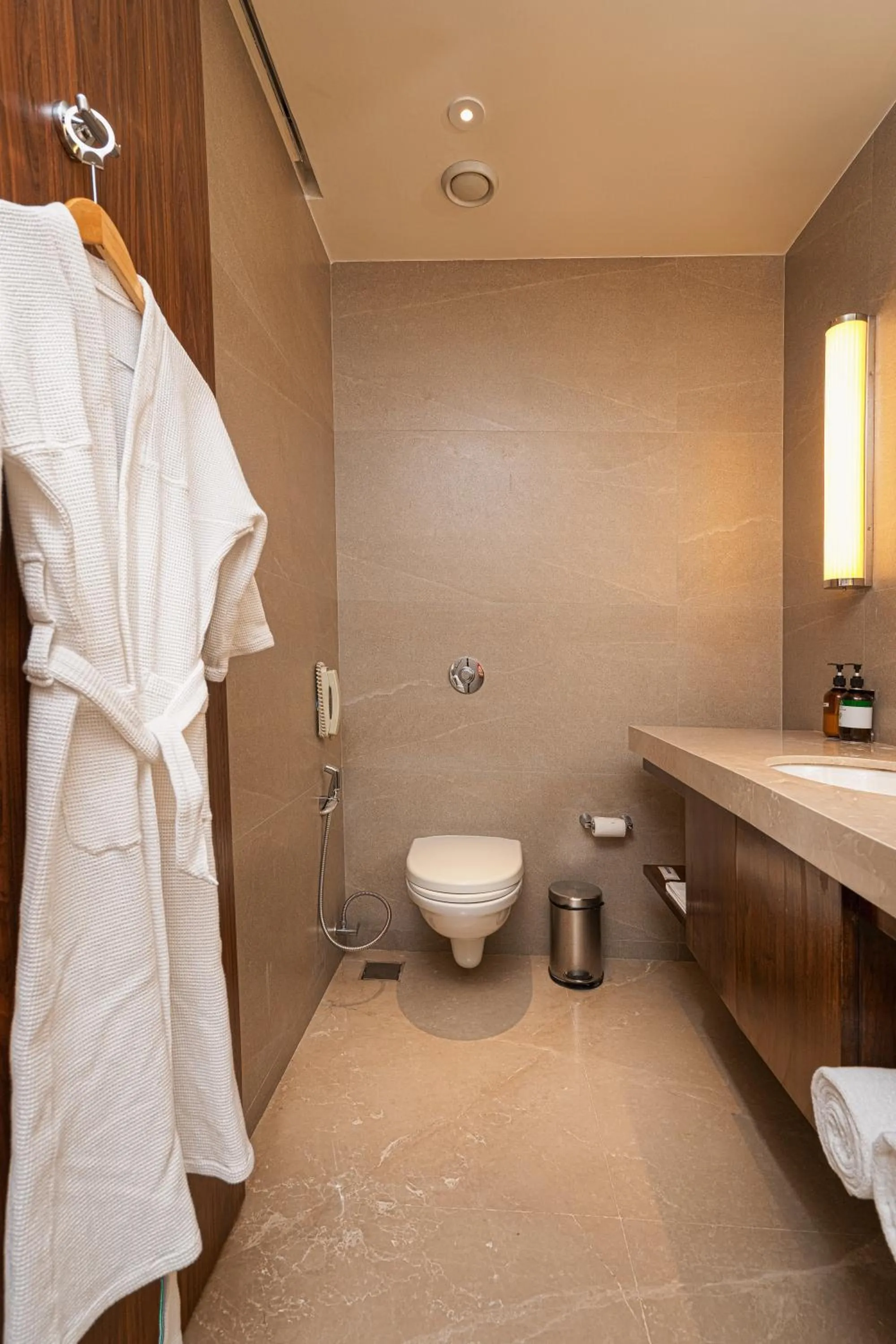 Bathroom in Marasa Sarovar Premiere, Bodhgaya