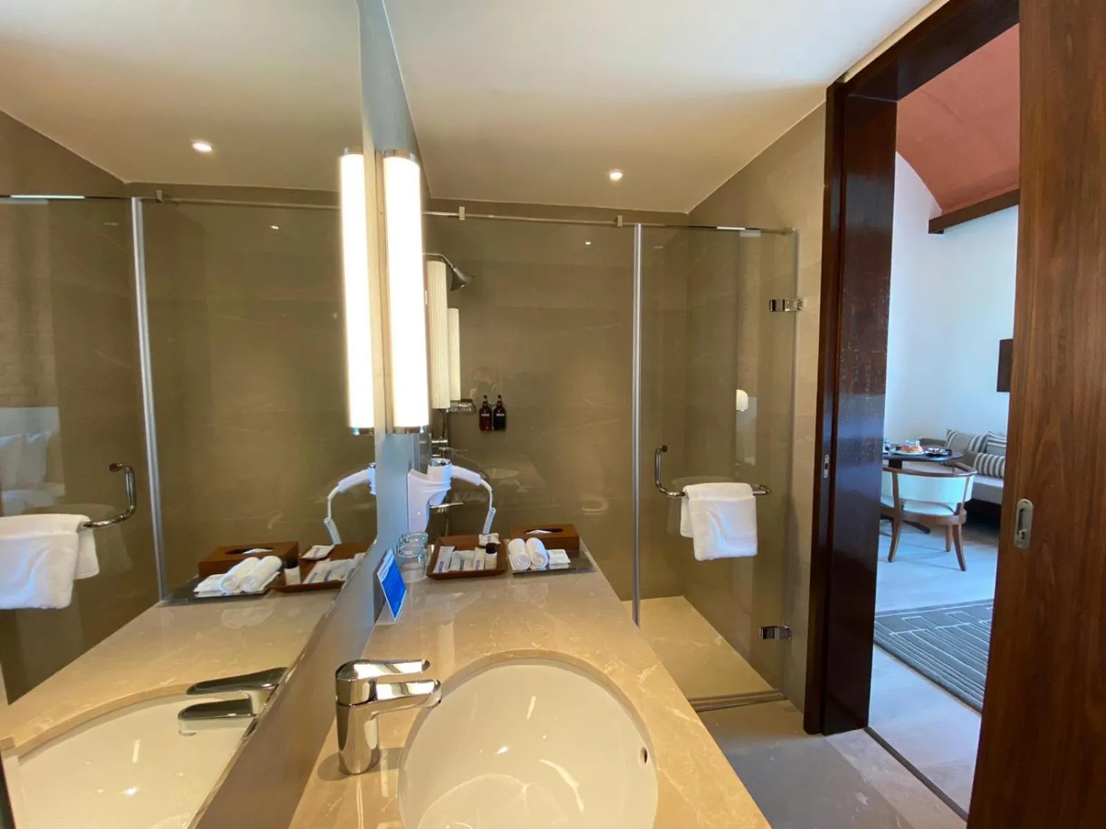 Bathroom in Marasa Sarovar Premiere, Bodhgaya
