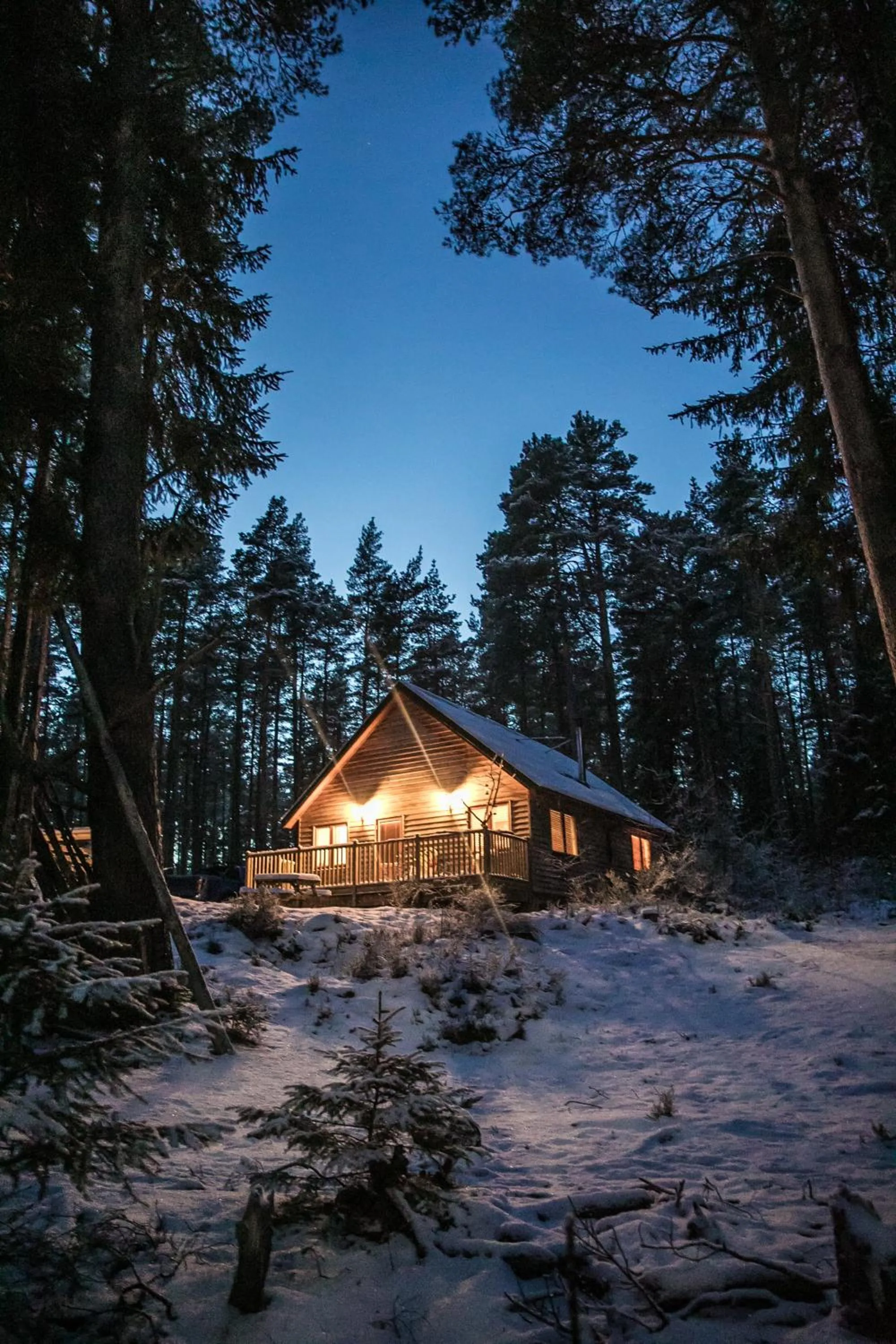 Cairngorm Lodges