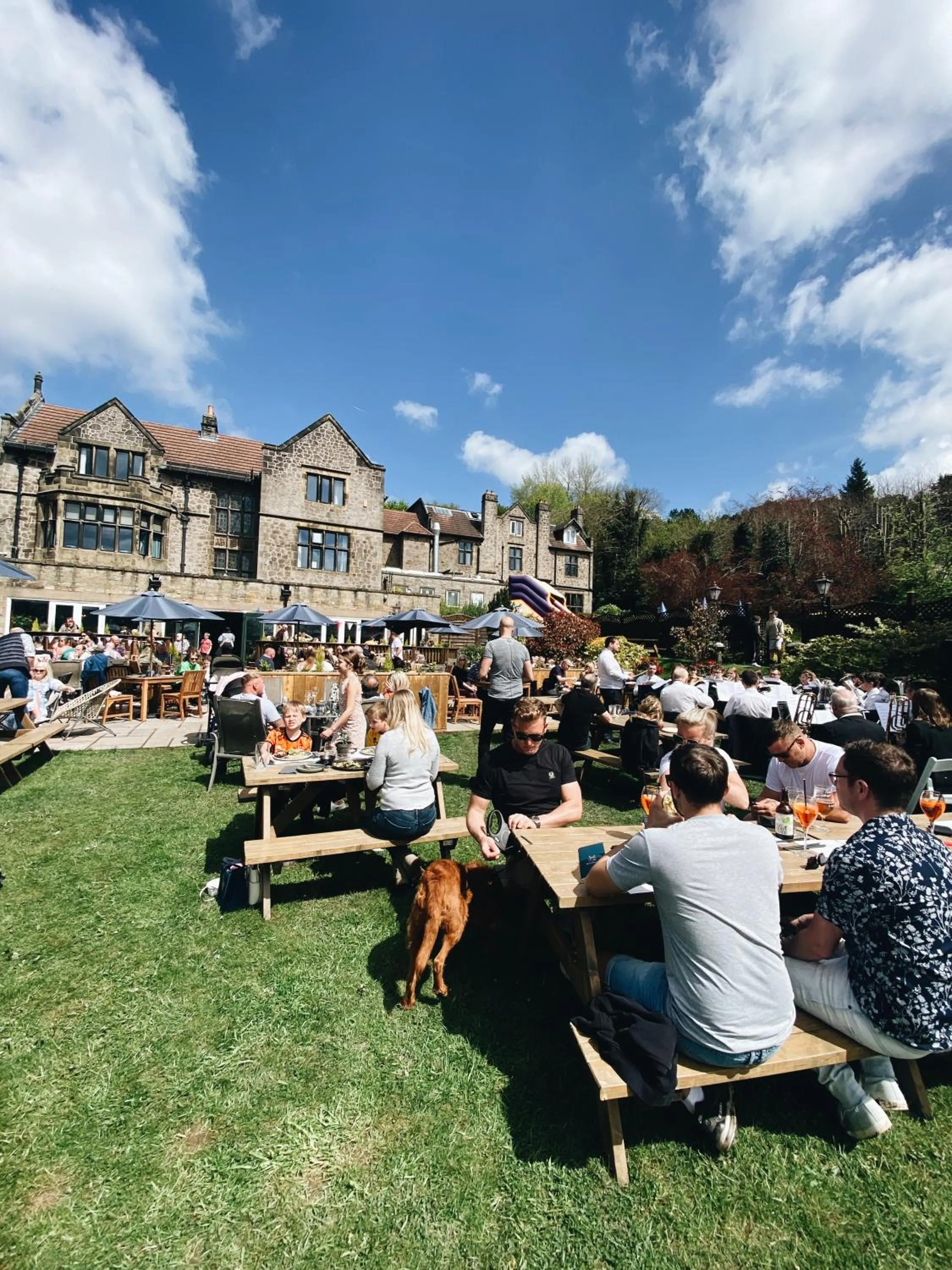 Garden in The Maynard