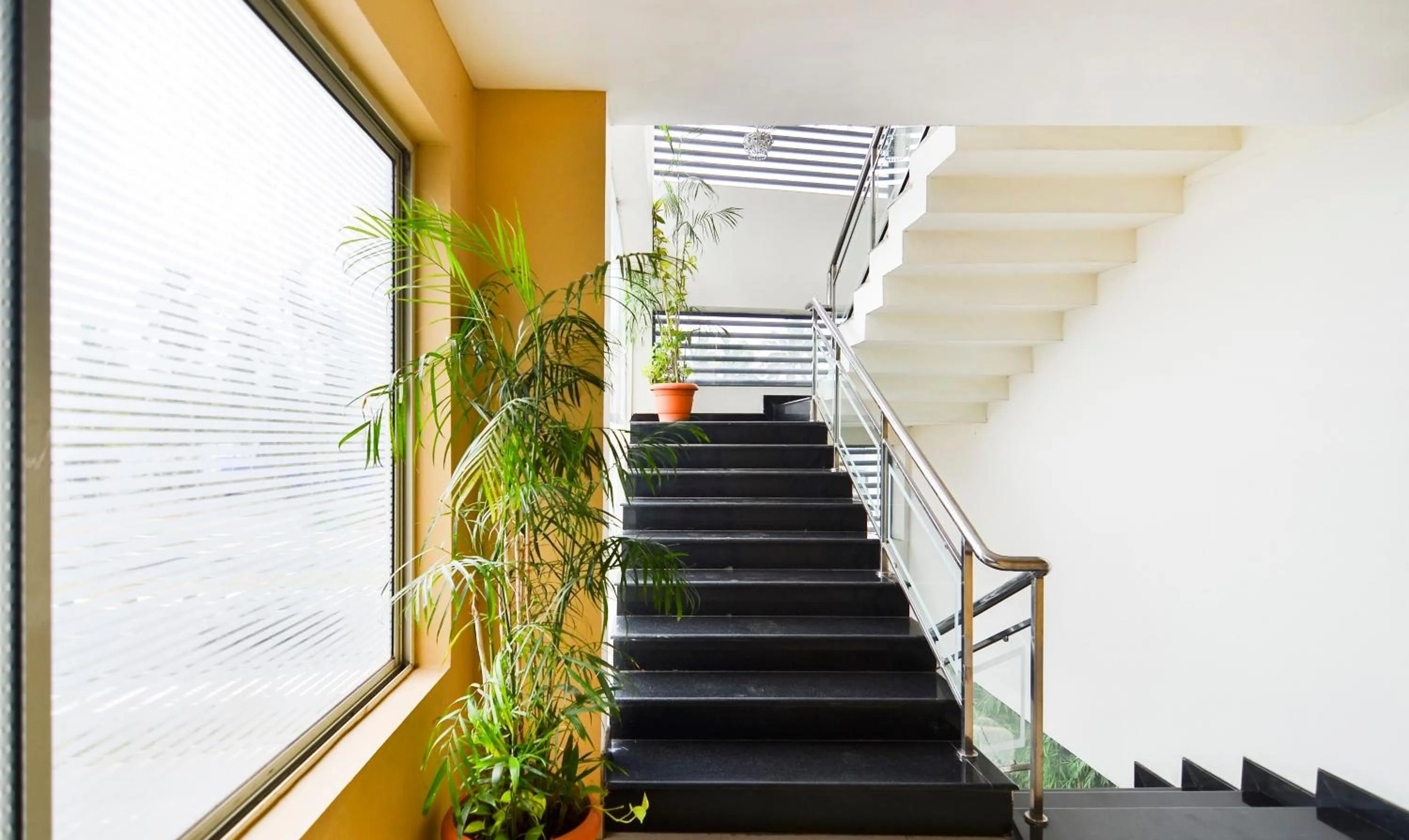 Lobby or reception in Itsy Hotels Platinum Inn