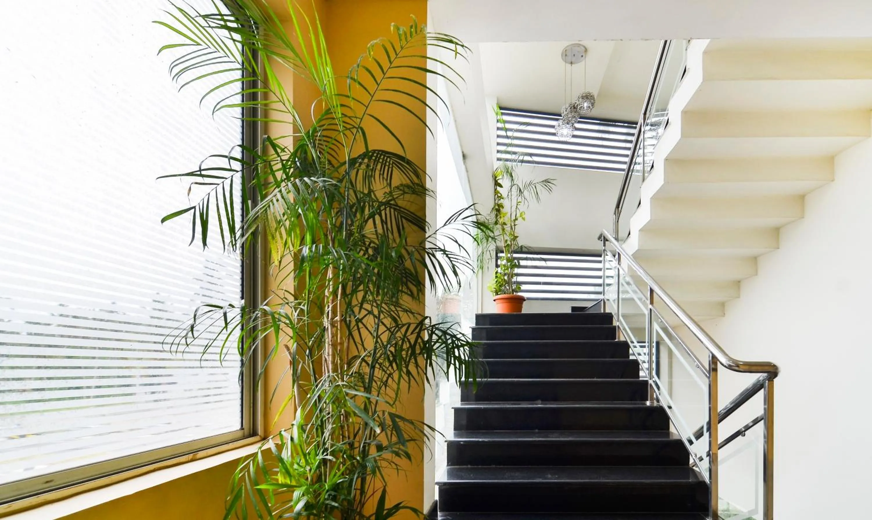 Lobby or reception in Itsy Hotels Platinum Inn