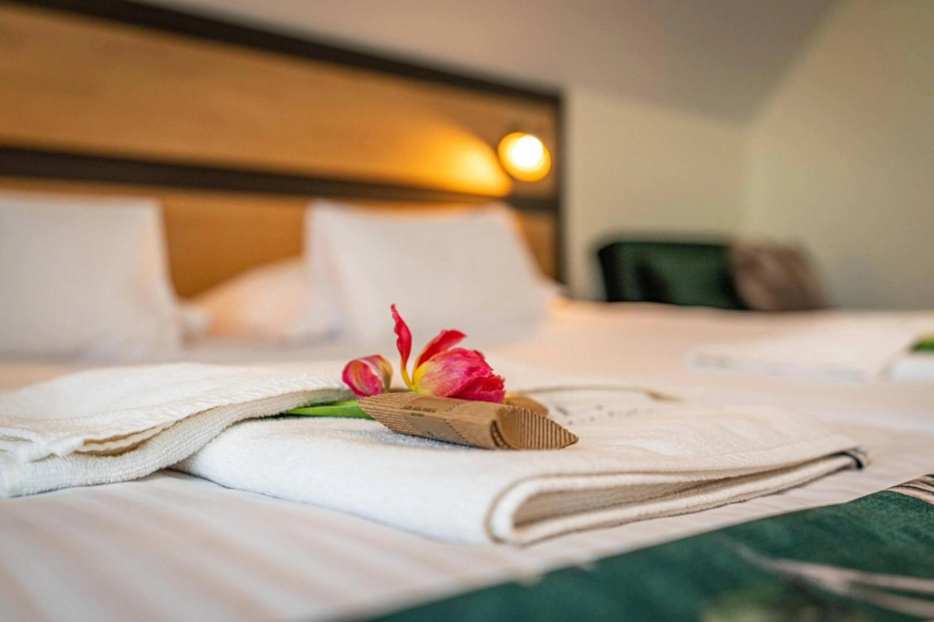 Bed in Rezydencja Markowy Dworek