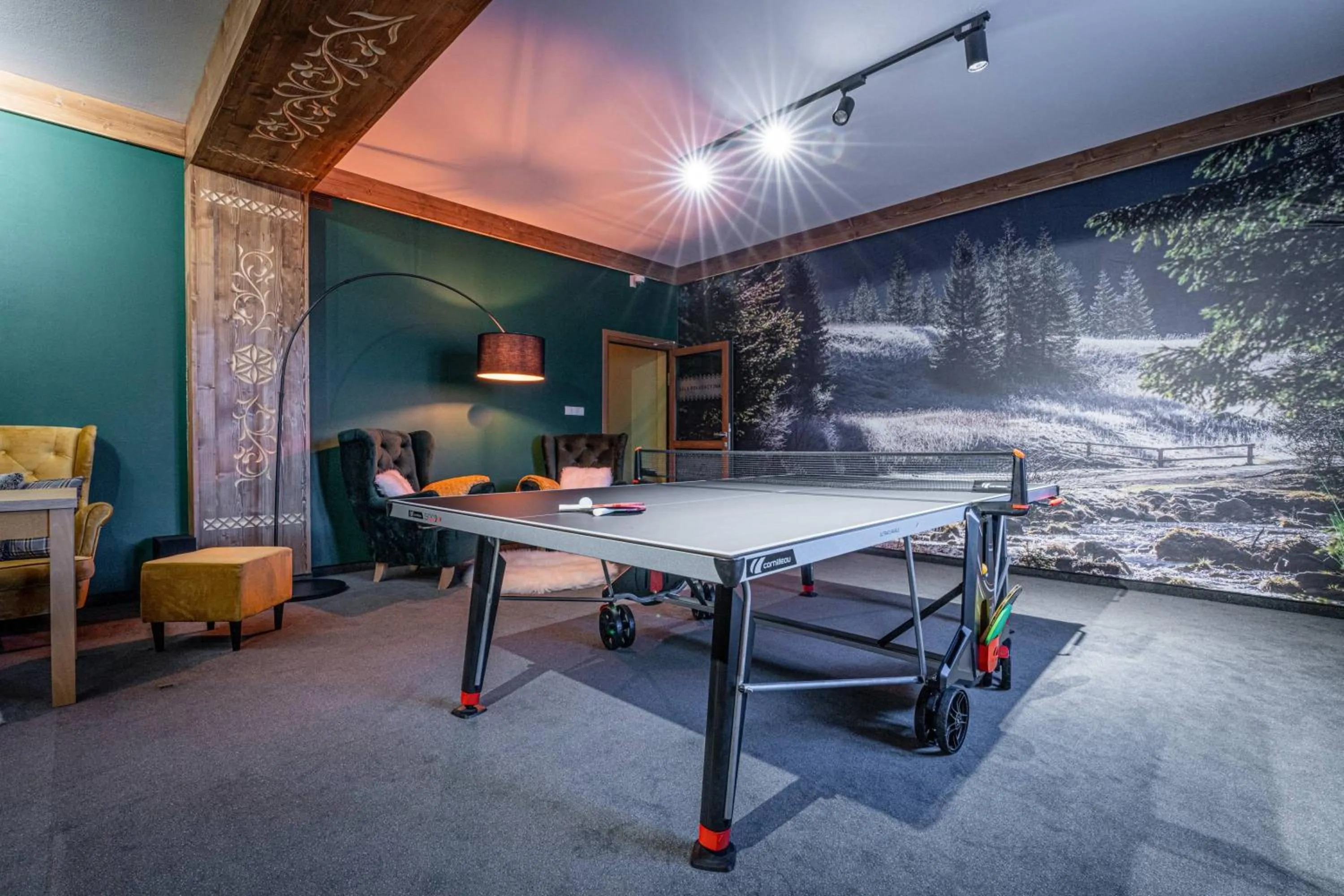 Table tennis in Rezydencja Markowy Dworek