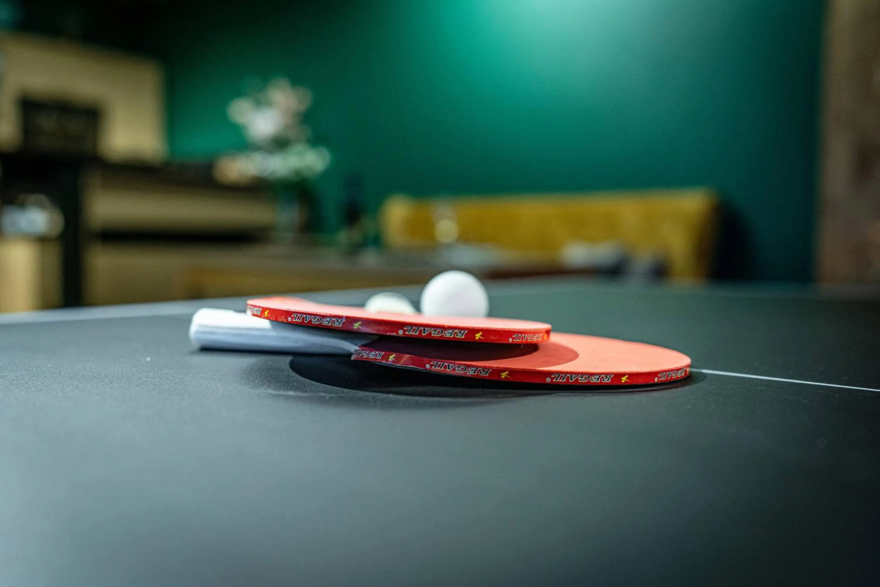 Communal lounge/ TV room in Rezydencja Markowy Dworek