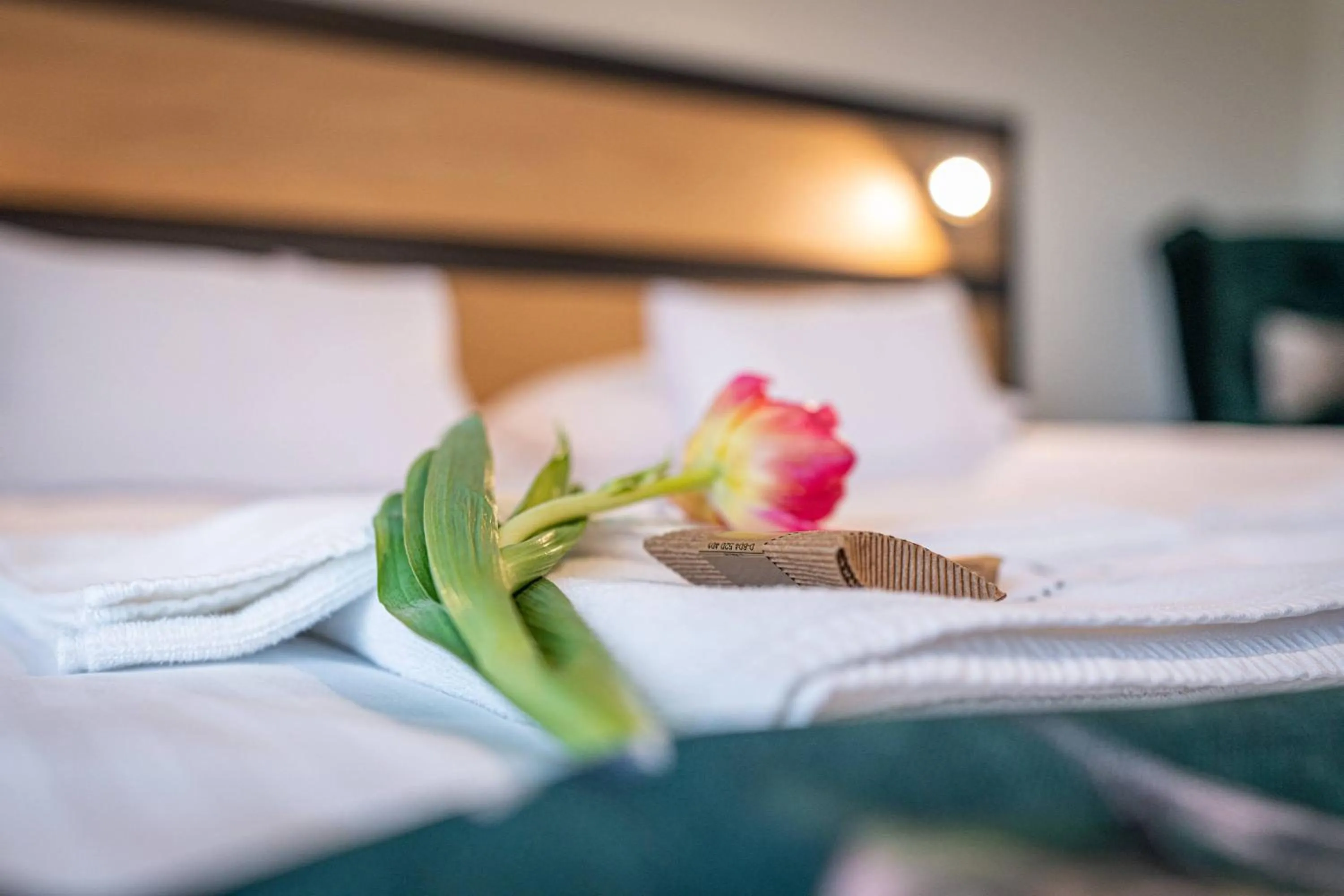 Bed in Rezydencja Markowy Dworek