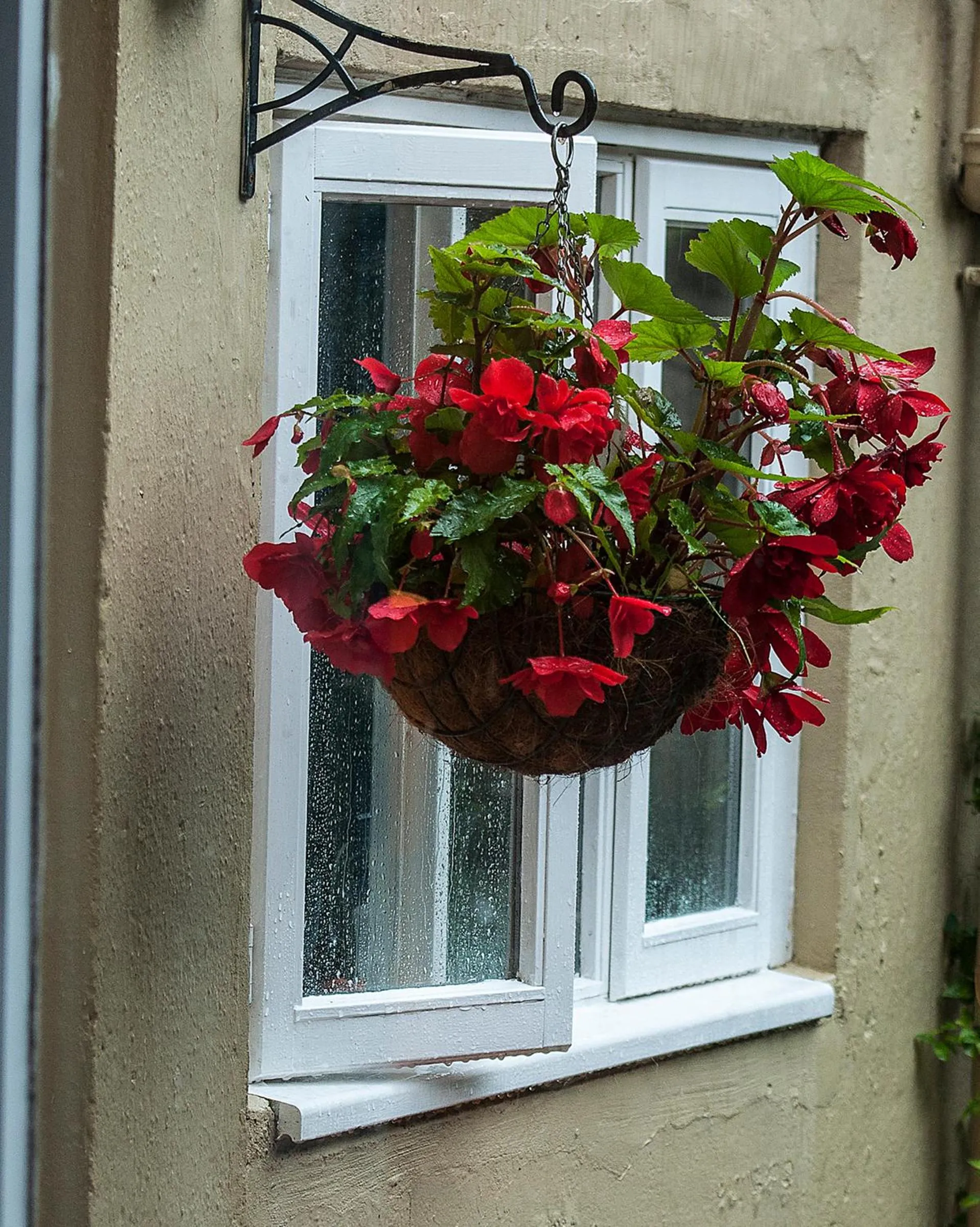 Facade/entrance in Percy Terrace Bed and Breakfast
