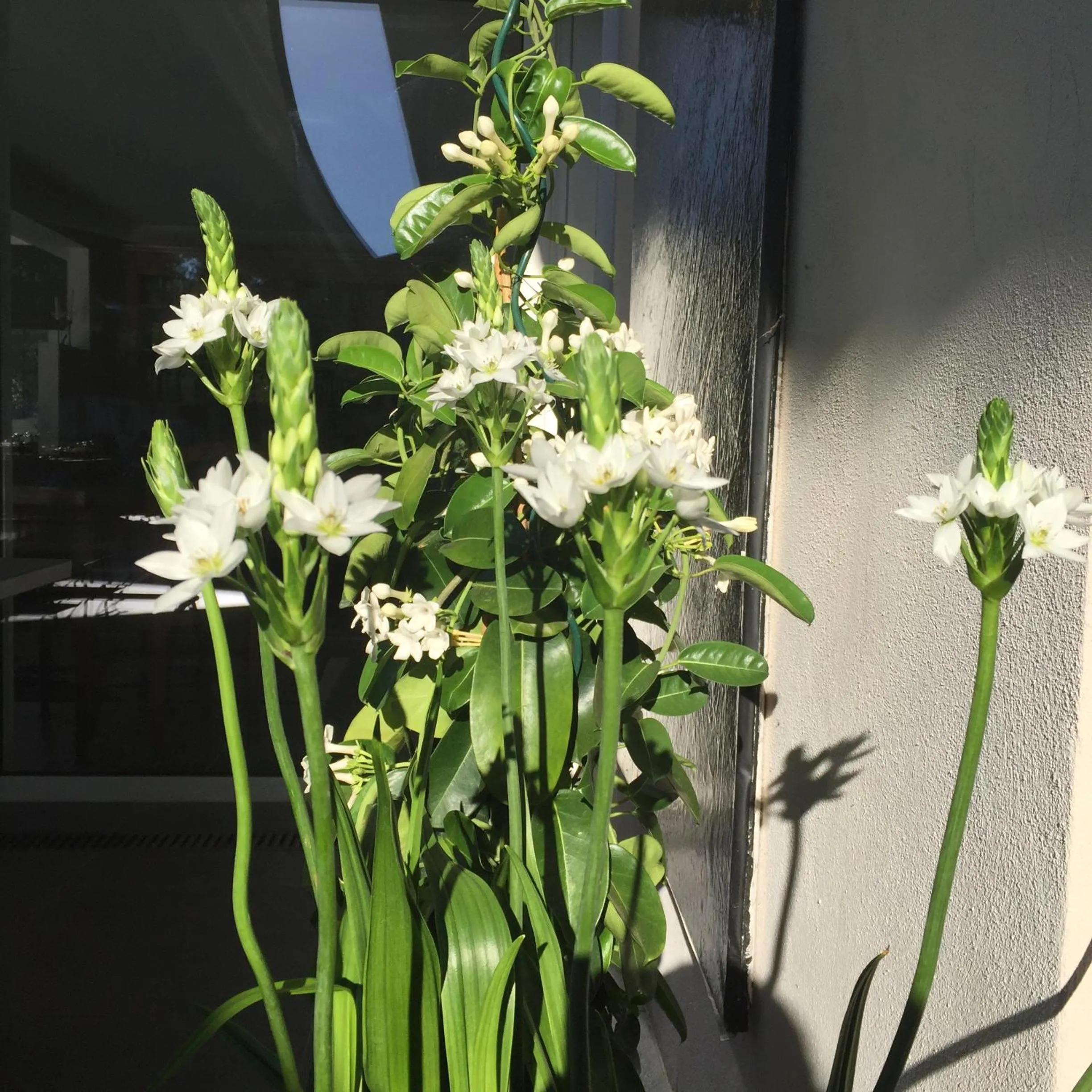 Patio in VILLA PADI La Cadière d'Azur