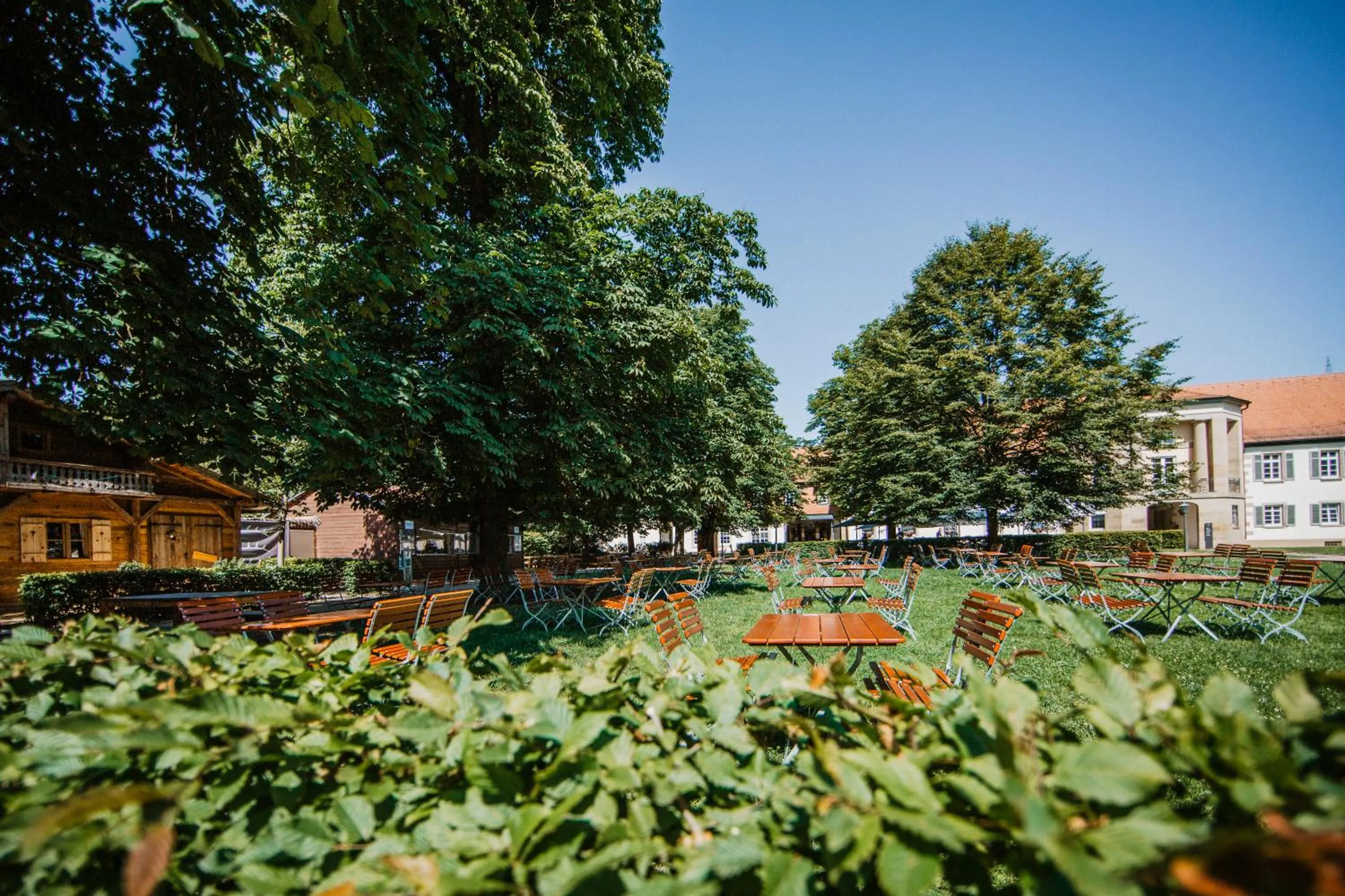 Restaurant/places to eat in Schlosshotel Monrepos