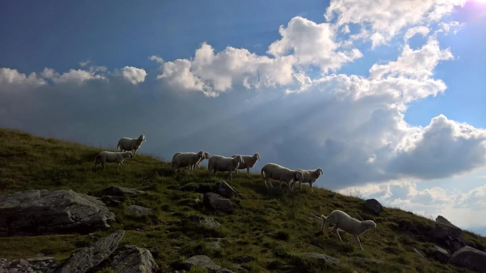 Hiking in Gästehaus Pürstl-Kocher