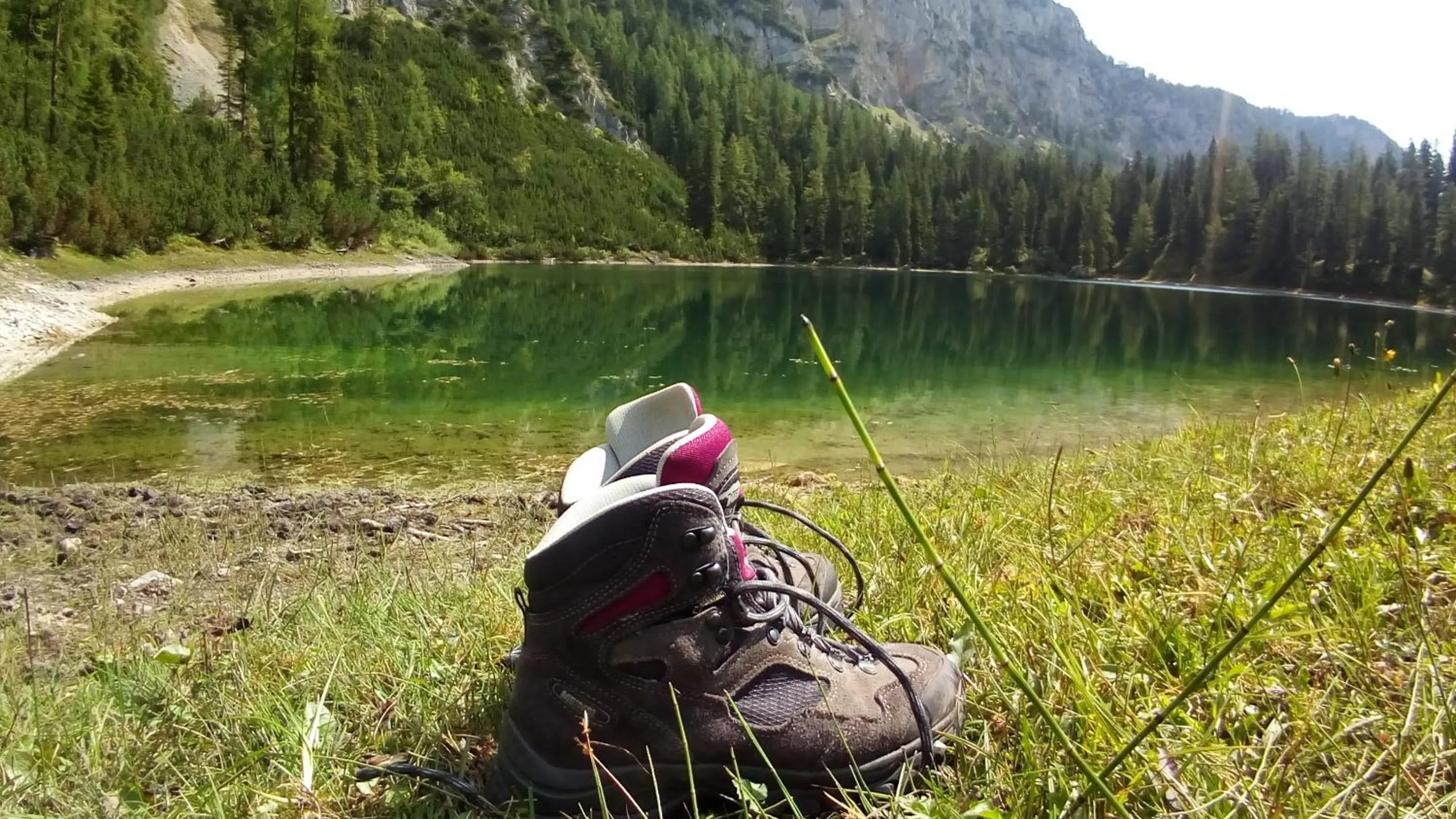 Hiking in Gästehaus Pürstl-Kocher