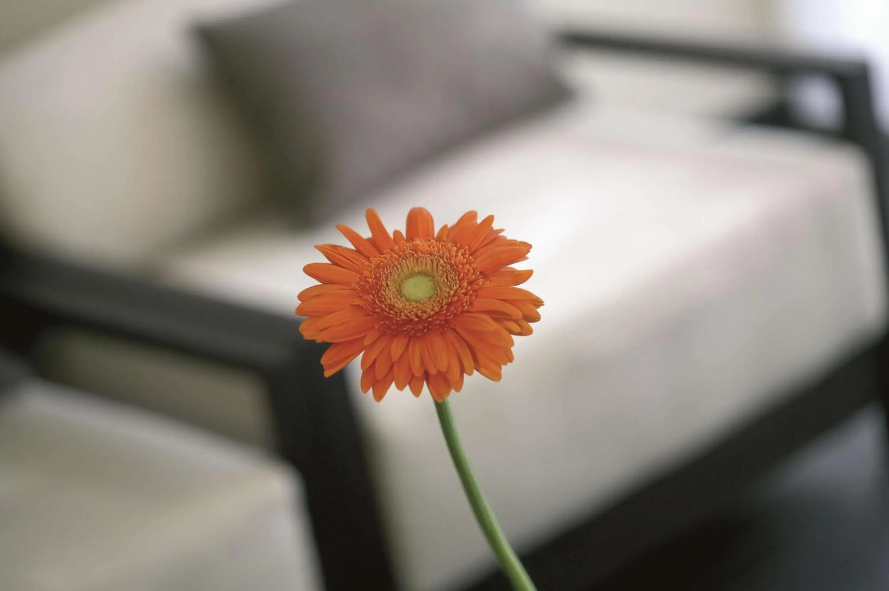 Other, Bed in NH Düsseldorf Königsallee Other, Bed in NH Düsseldorf Königsallee