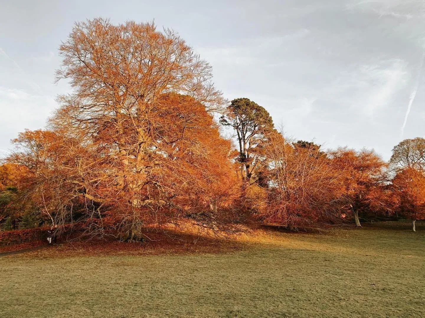 Neighbourhood in Snowdonia Stone Cottage