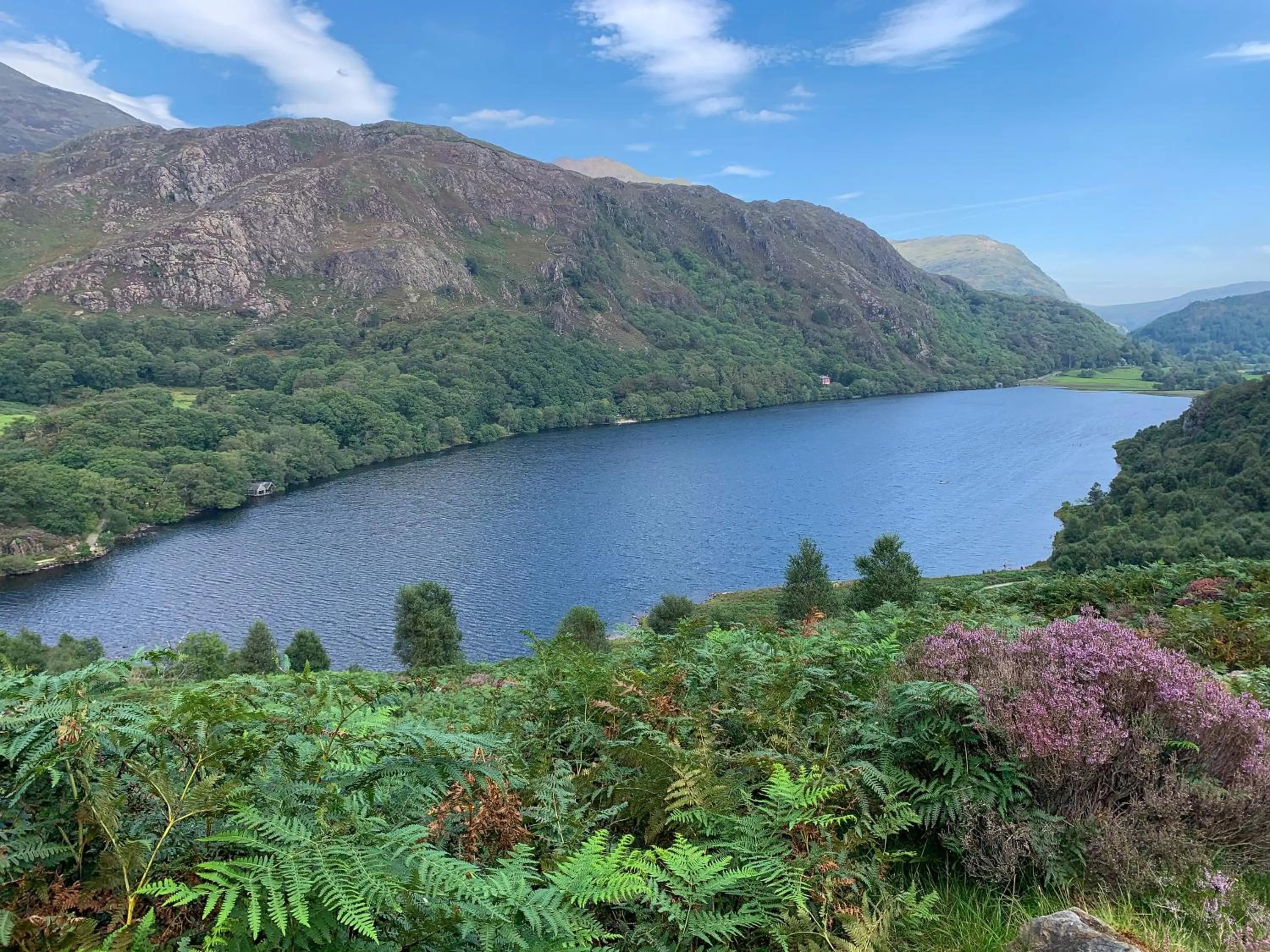 Neighbourhood in Snowdonia Stone Cottage