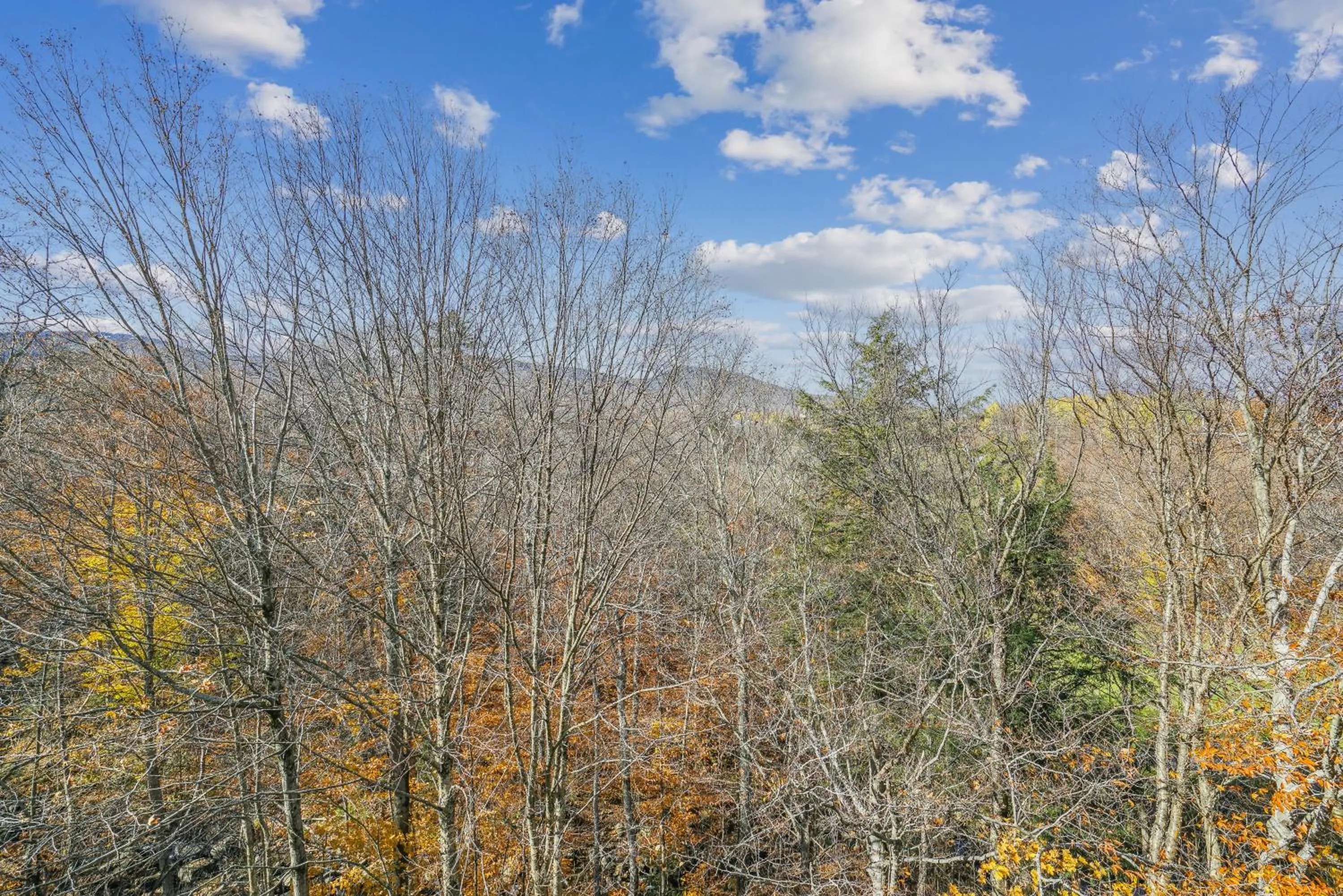 Spring in Three bedroom condo, Ski home Whiffletree E7