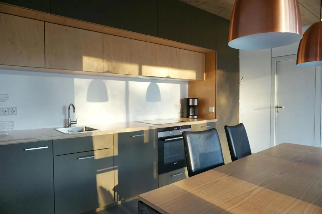 Kitchen or kitchenette in Design Ferienwohnung nienrausch Apartment 1