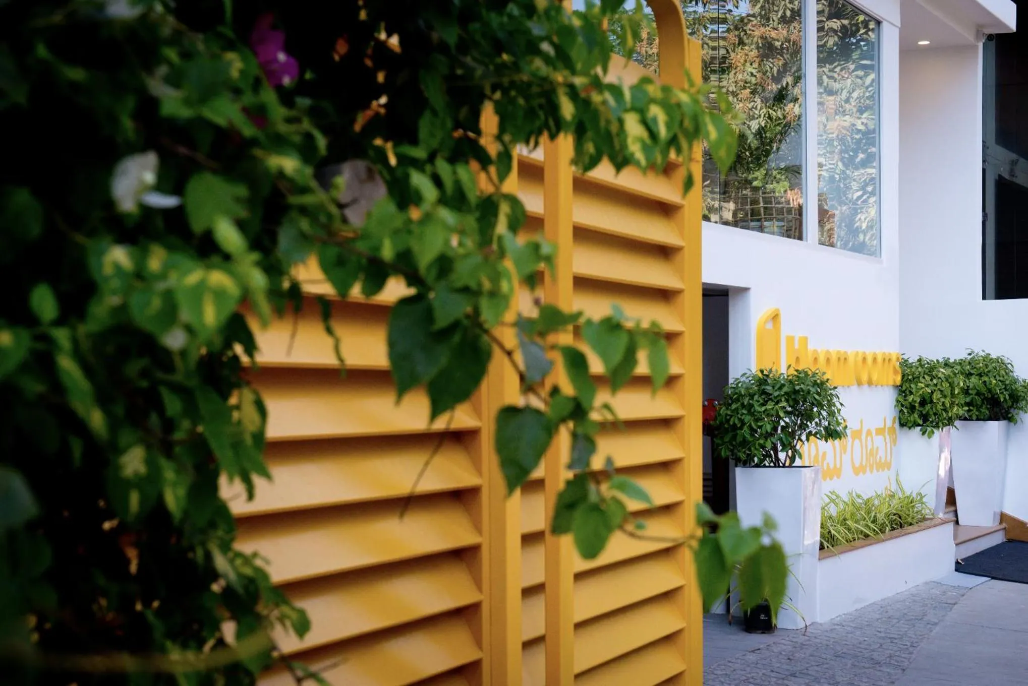 Facade/entrance in bloomrooms @ City Centre