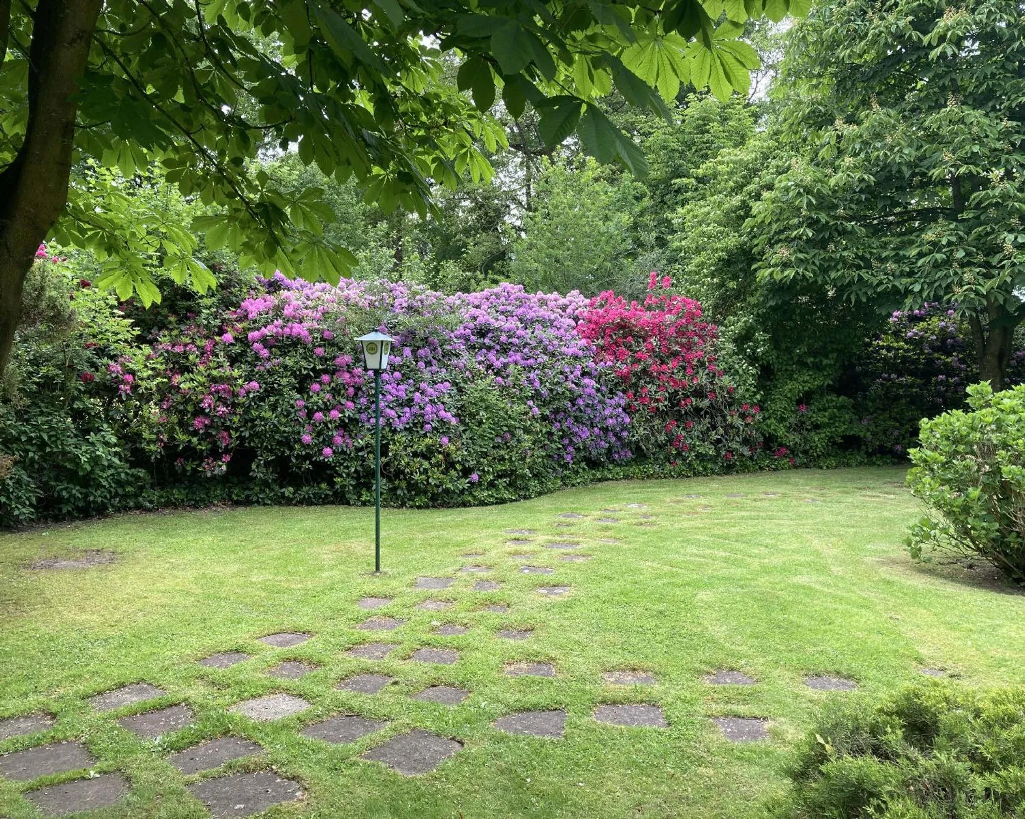 Garden in NordWest-Hotel Amsterdam