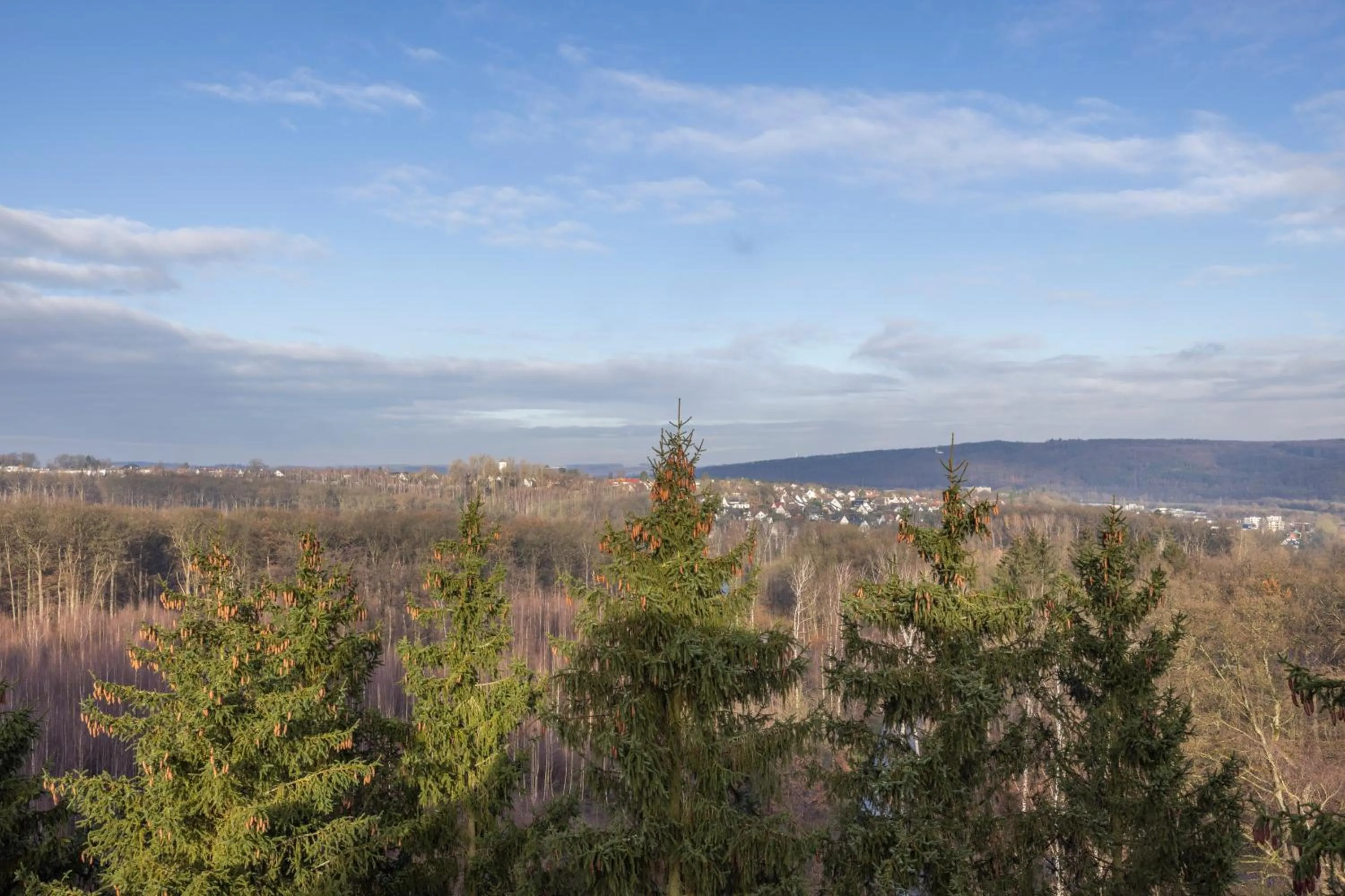 Natural landscape in Fletcher Hotel-Restaurant Arnsberg-Sauerland