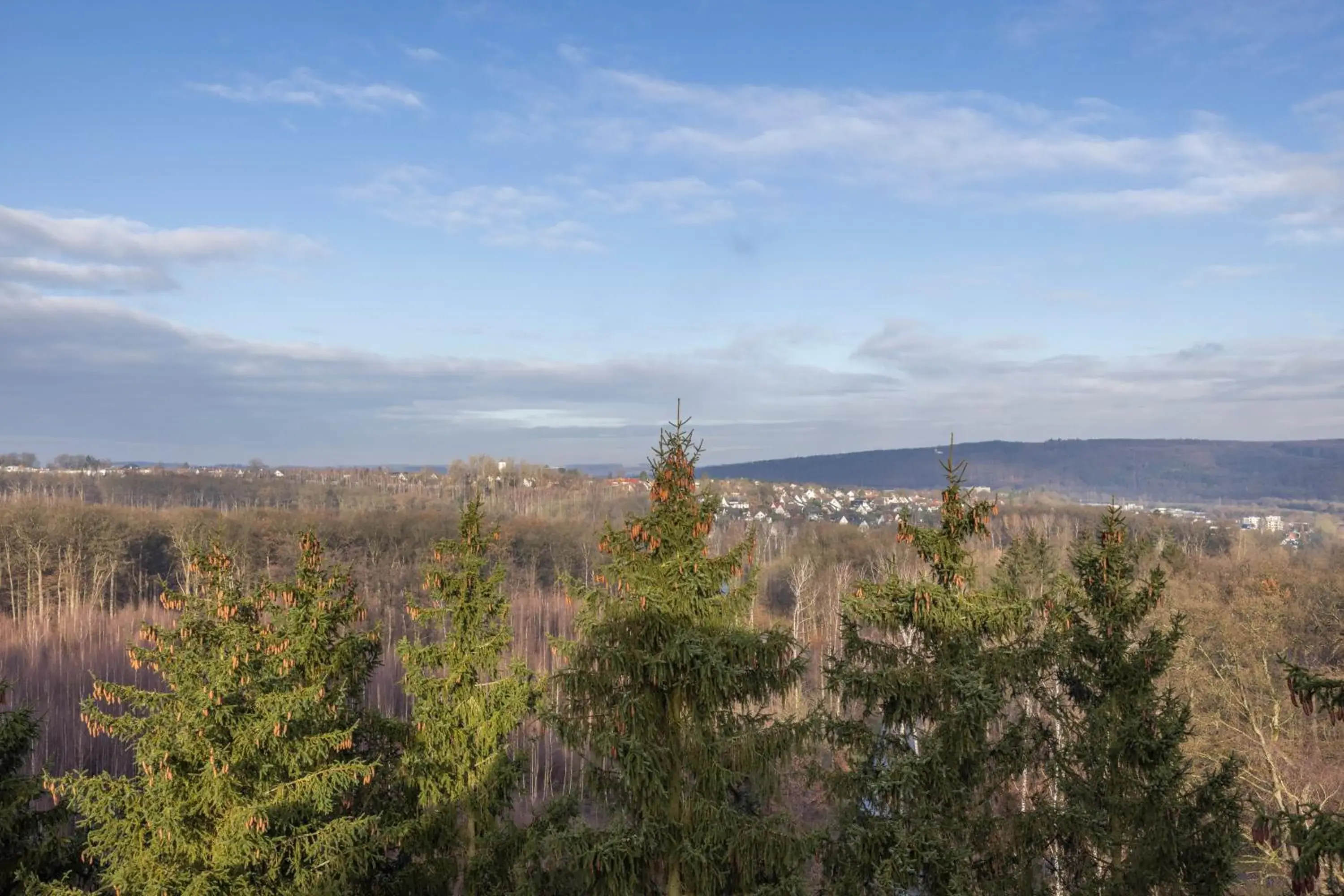 Natural landscape in Fletcher Hotel-Restaurant Arnsberg-Sauerland Natural landscape in Fletcher Hotel-Restaurant Arnsberg-Sauerland