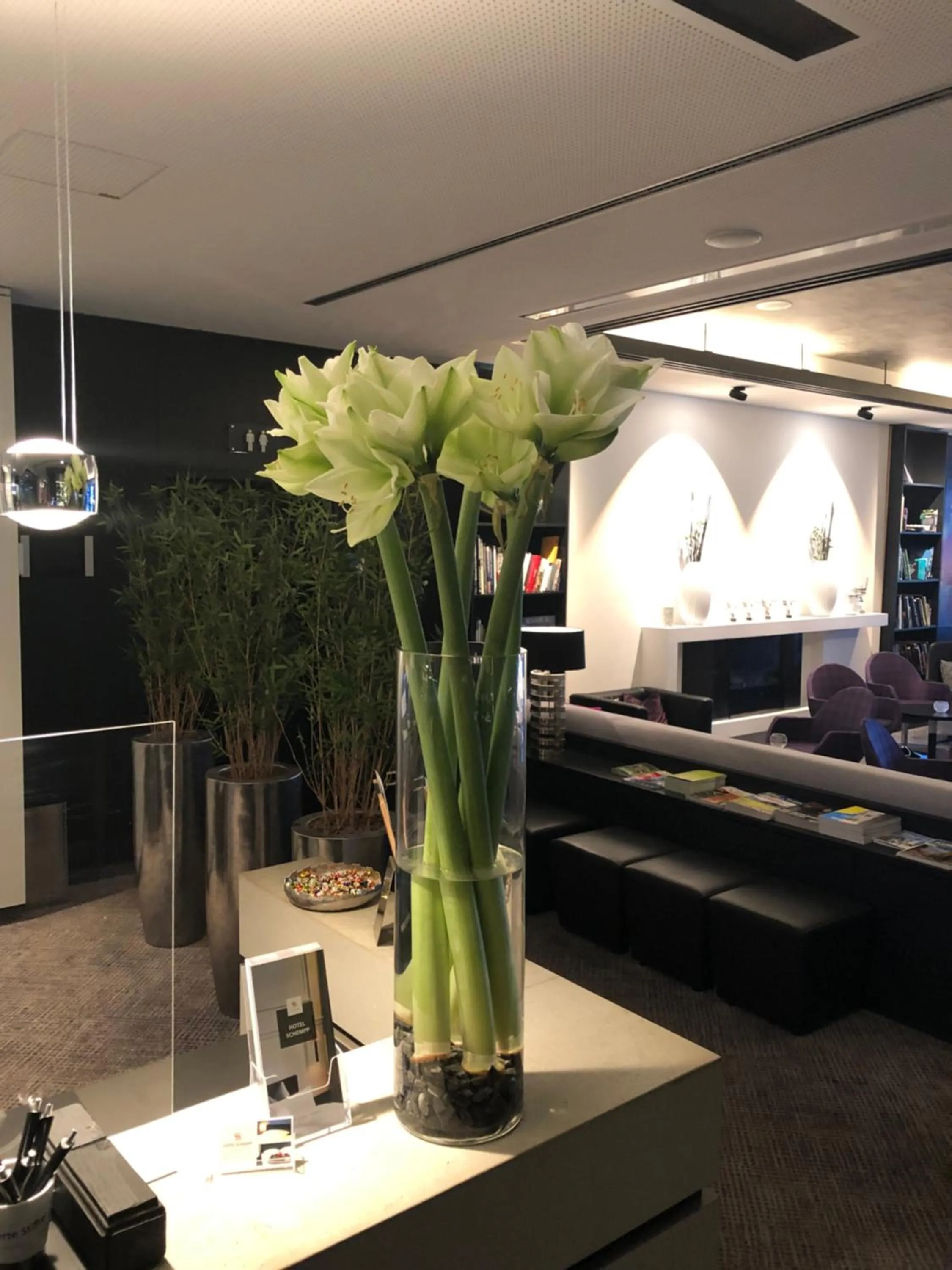 Restaurant/places to eat in Hotel Schempp