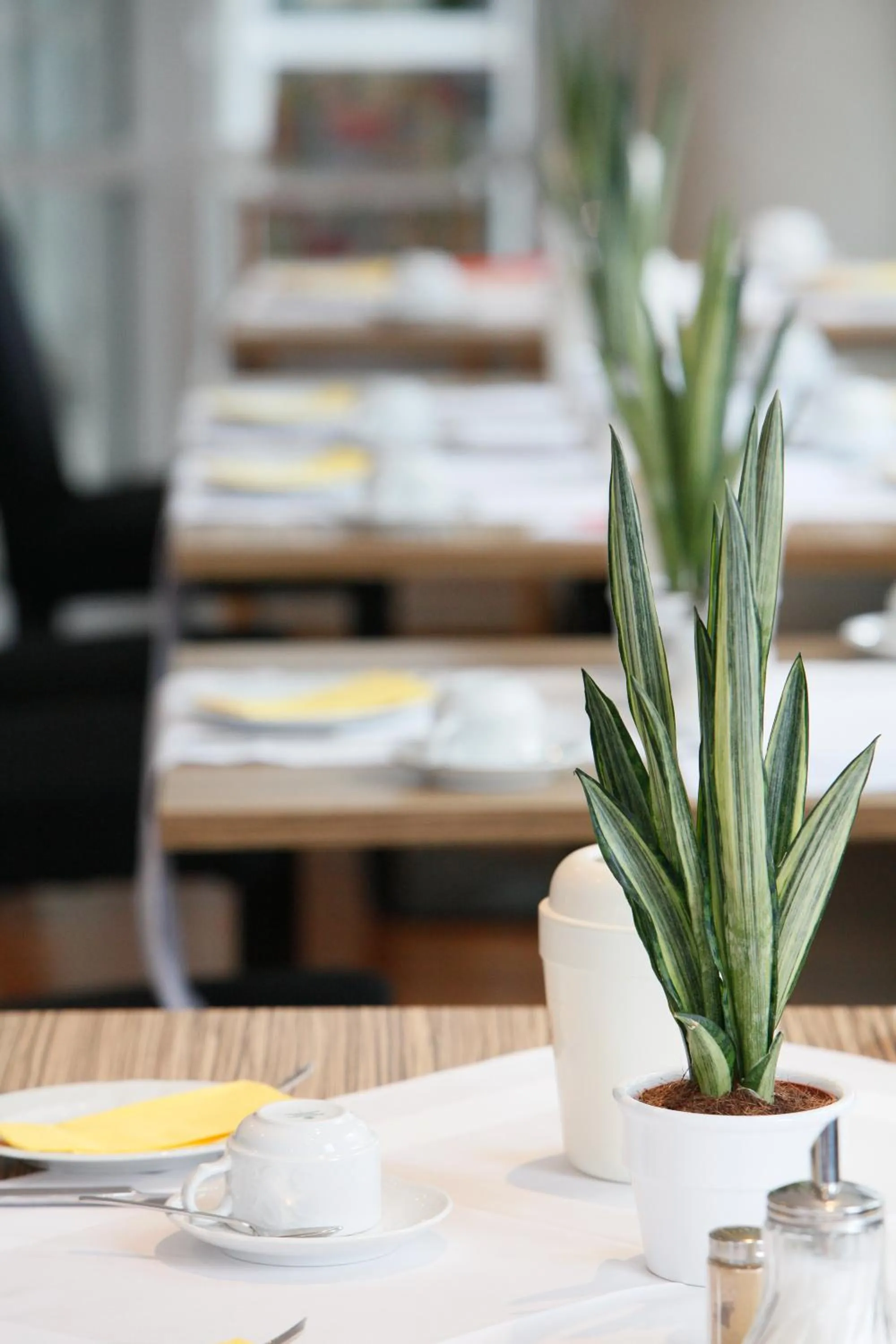 Decorative detail in Hotel Schempp