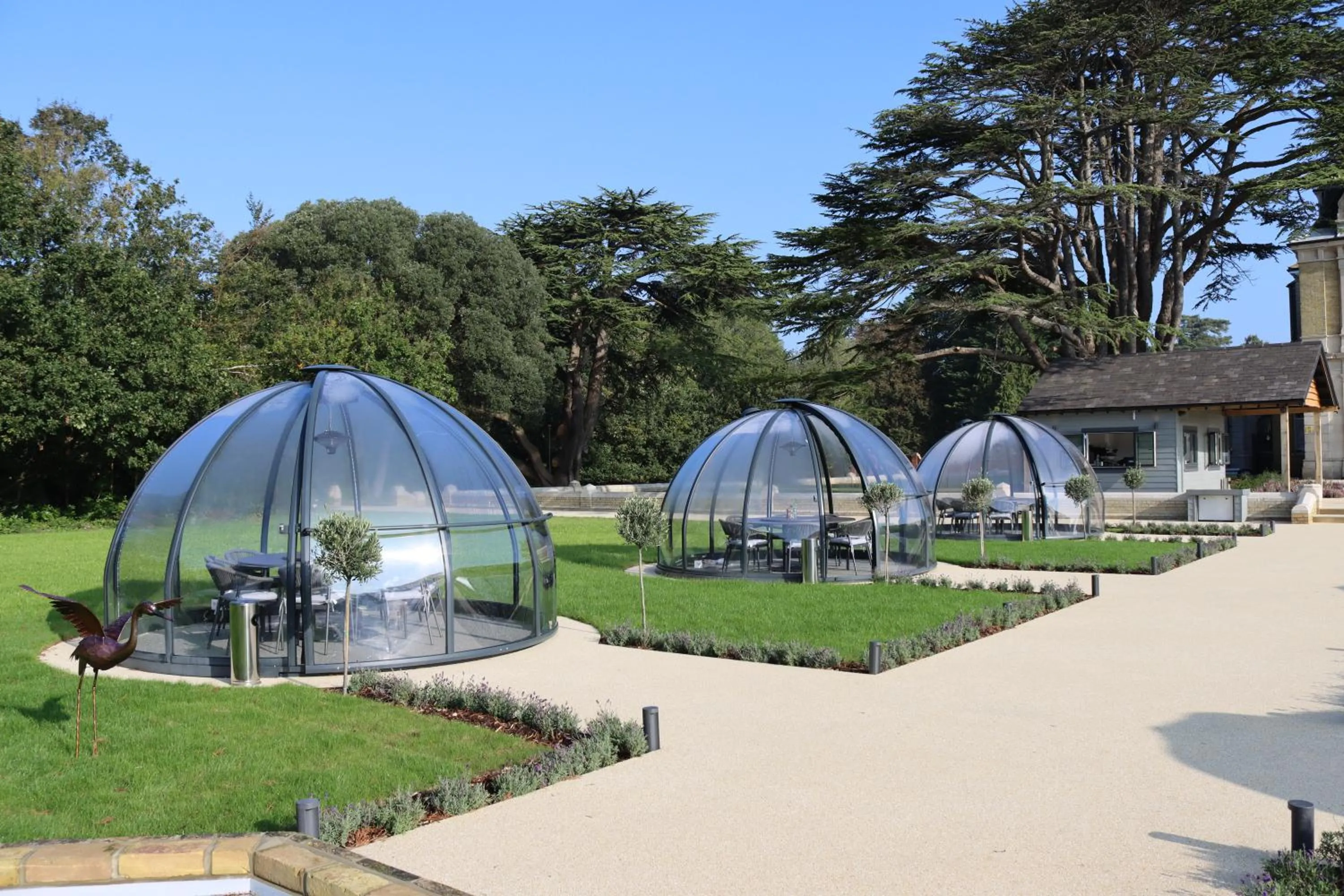 Restaurant/places to eat in Orange Grove Hotel & Gardens