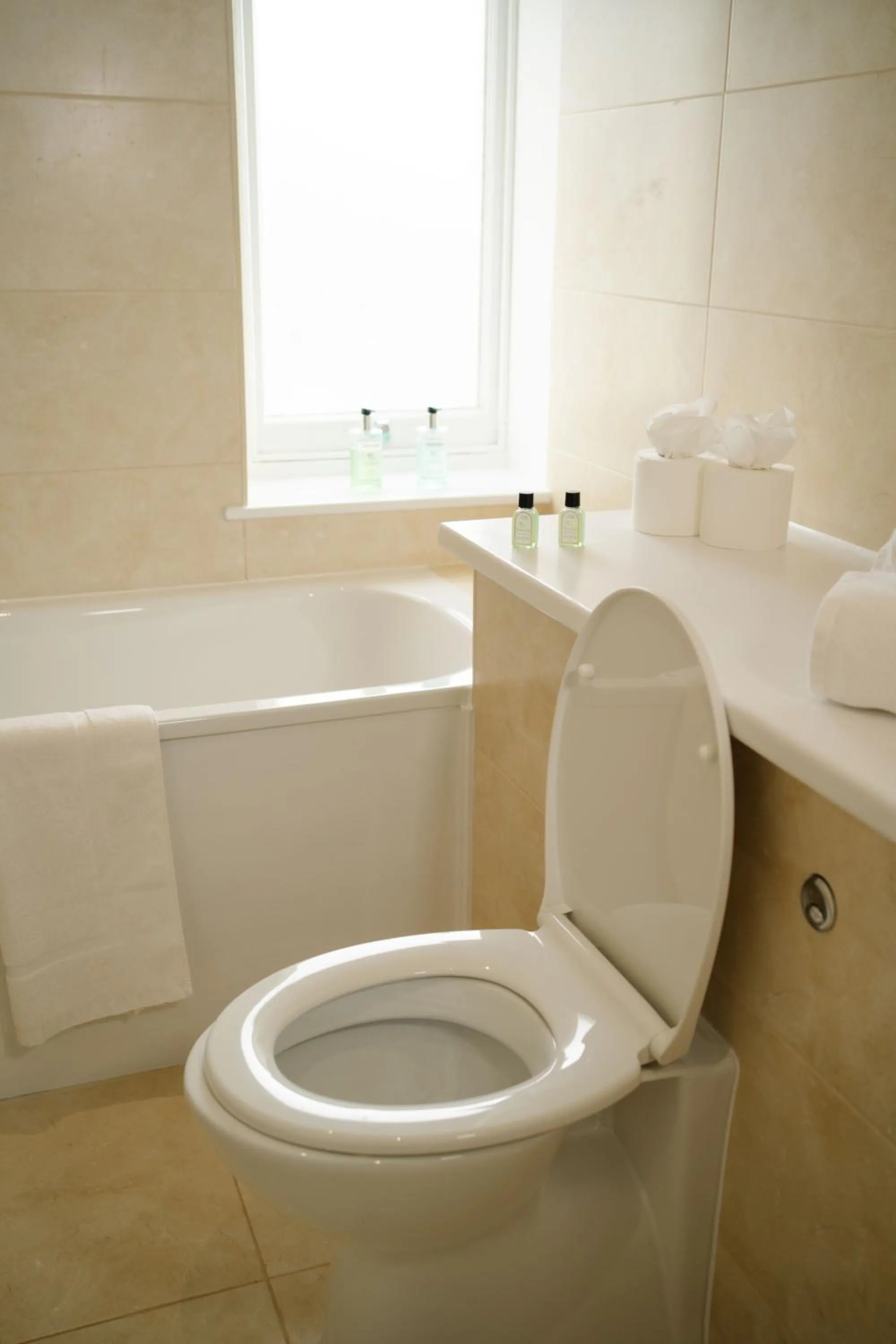 Toilet in Orange Grove Hotel & Gardens